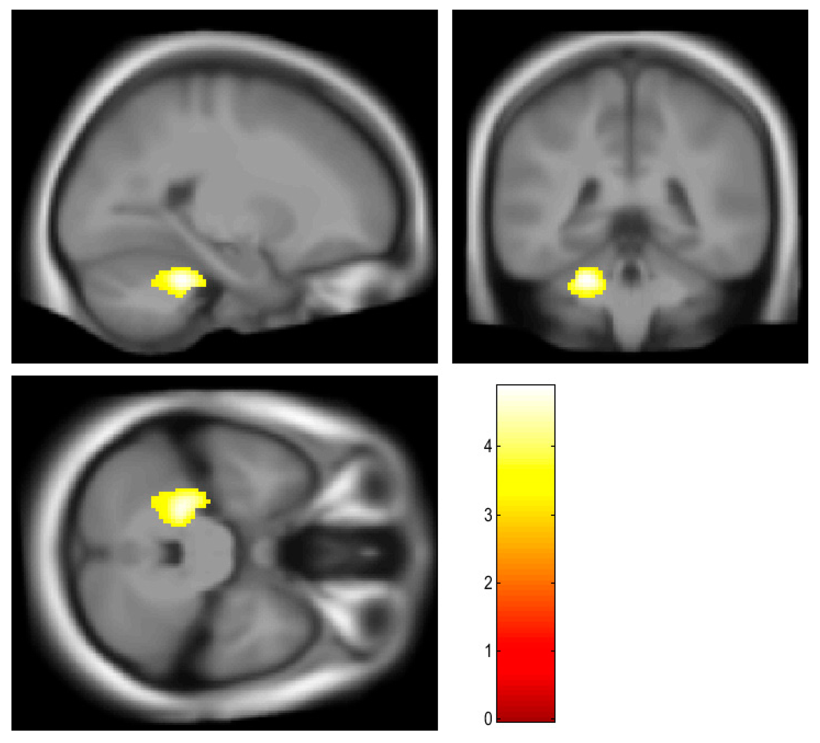 Brainsci 13 00889 g002
