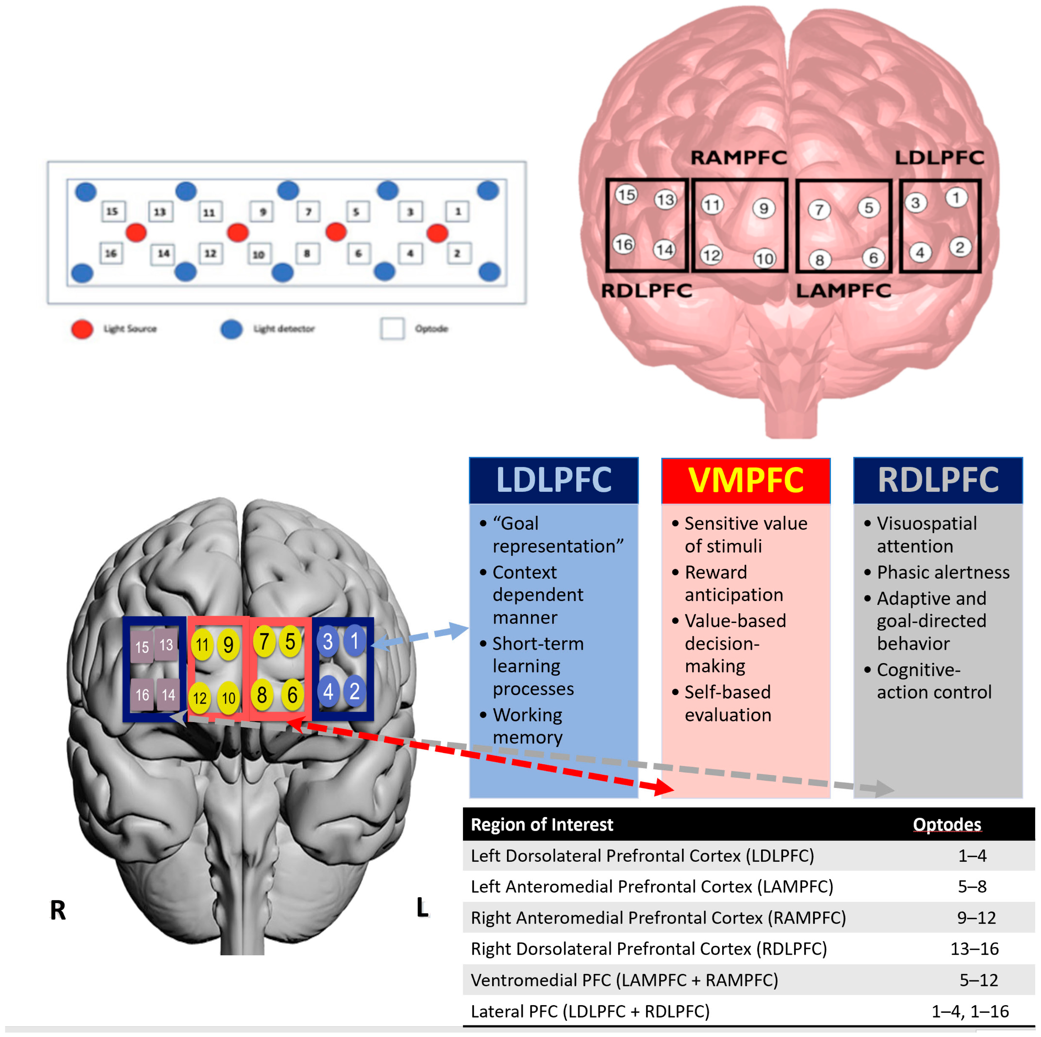 Brainsci 13 00890 g004