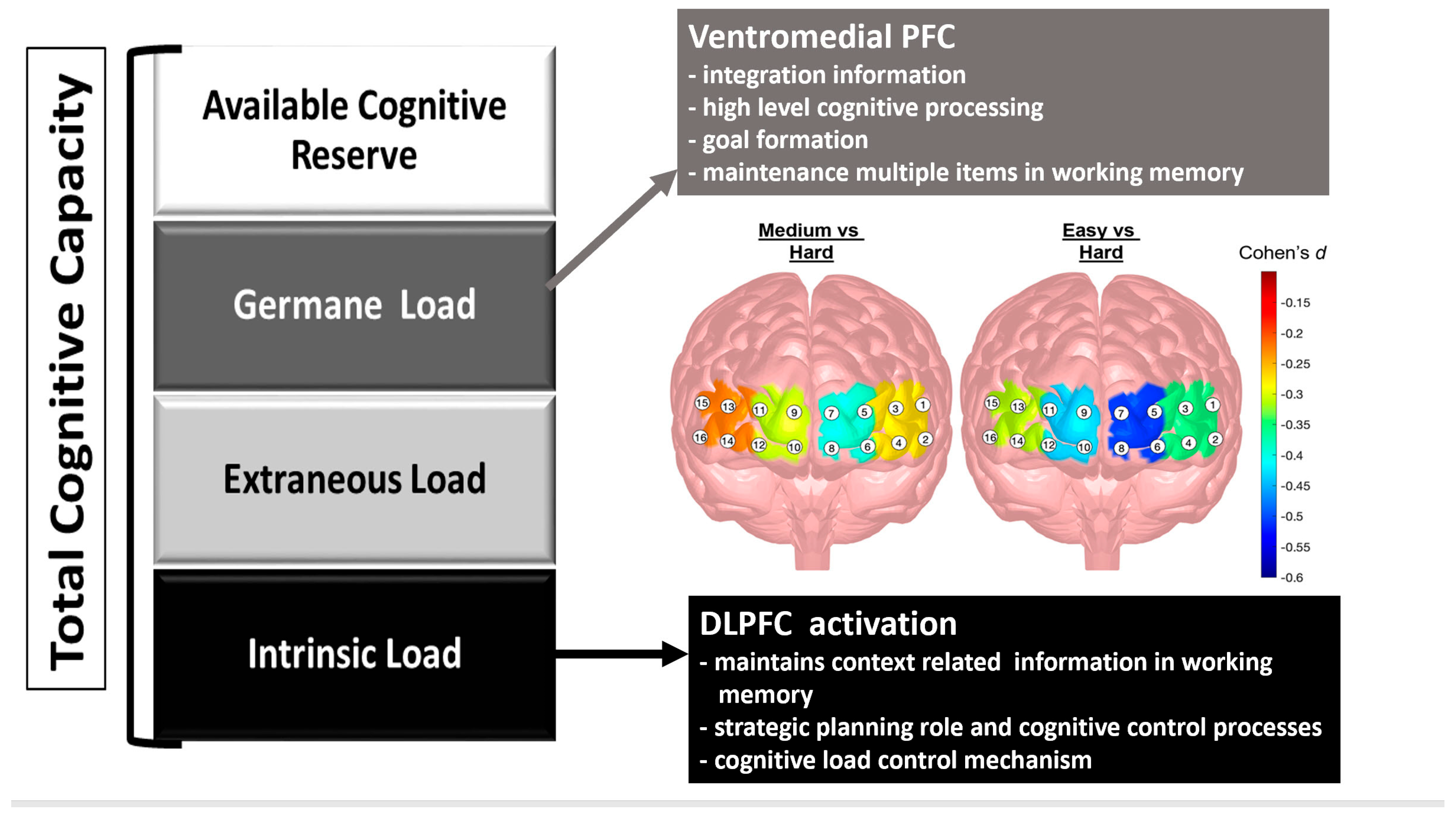 Brainsci 13 00890 g006
