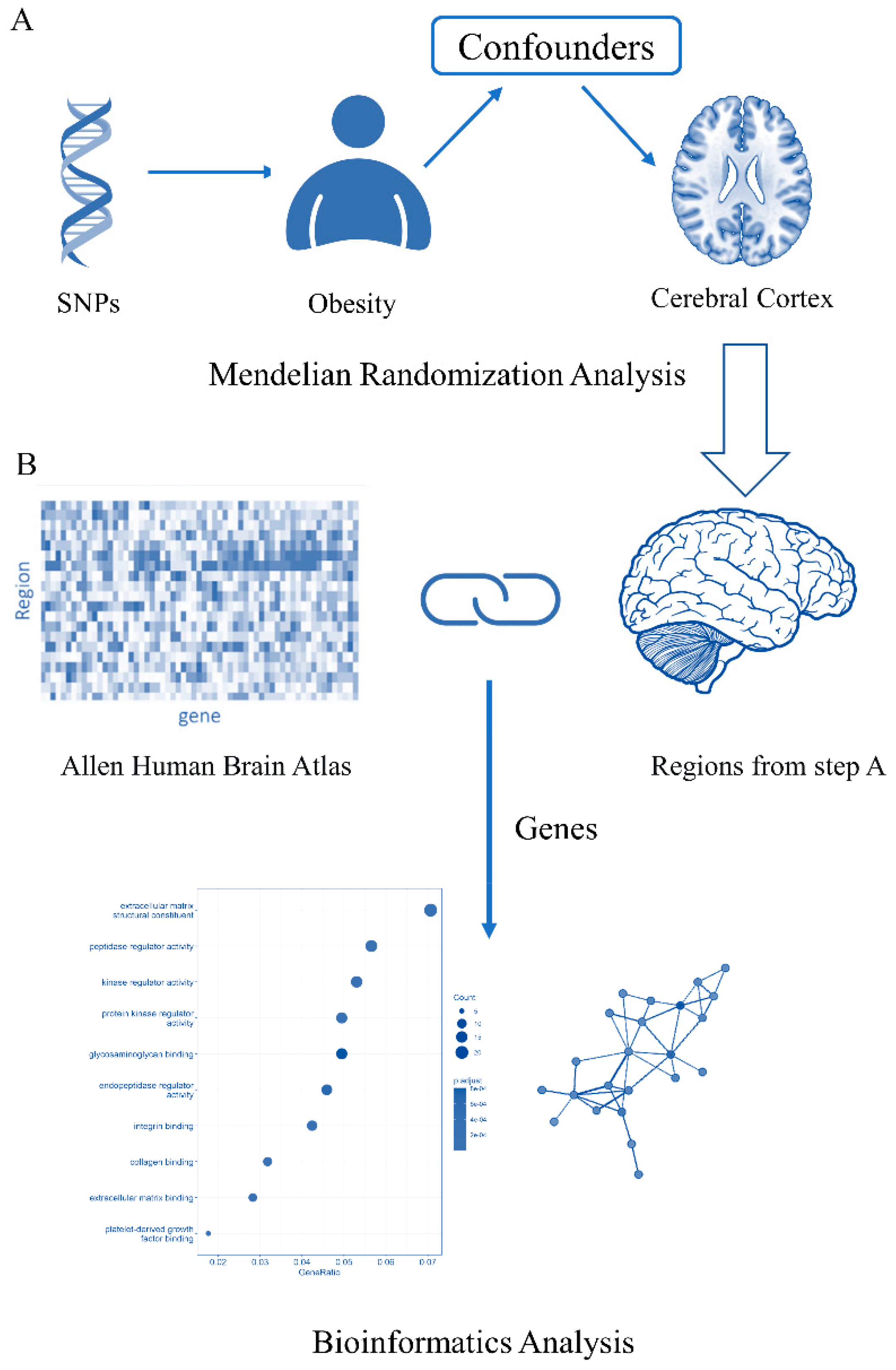 Brainsci 13 00892 g001