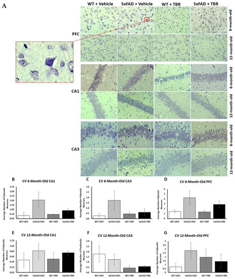 Brainsci 13 00895 g009 550