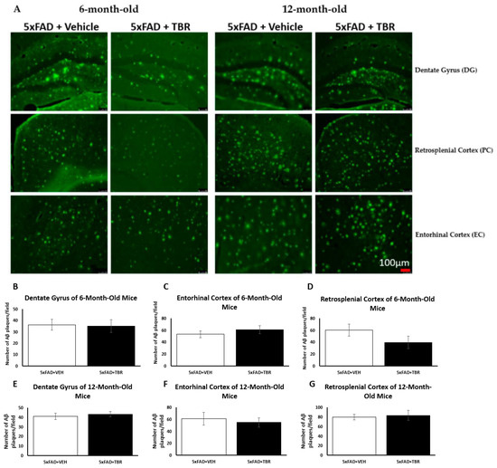 Brainsci 13 00895 g010 550