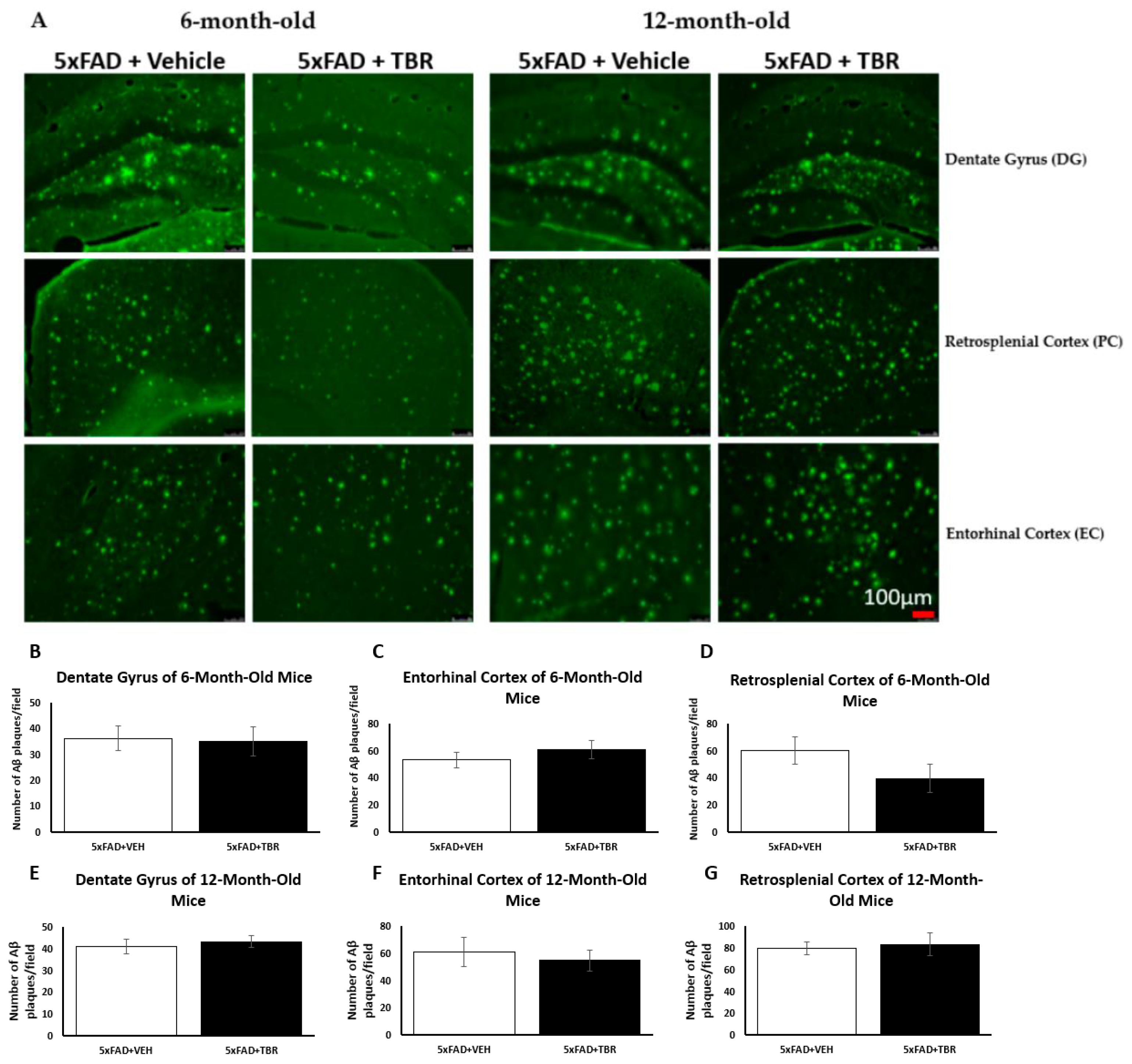 Brainsci 13 00895 g010