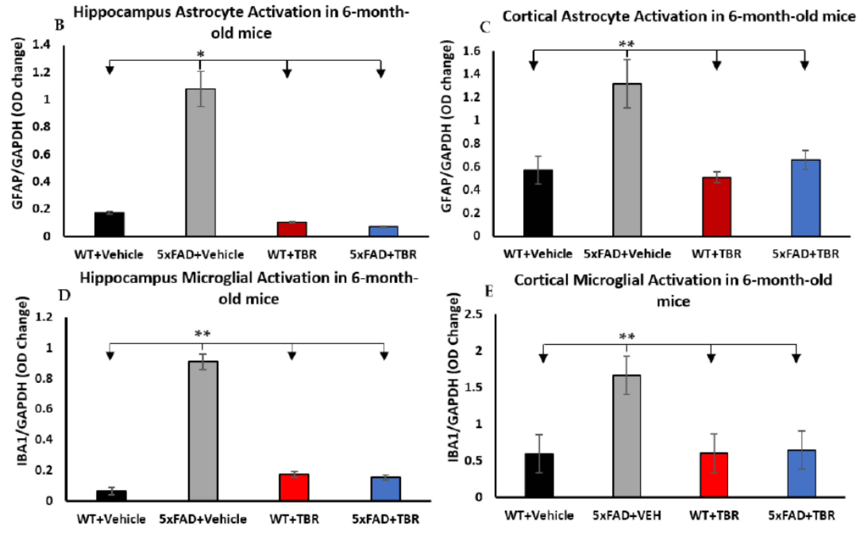 Brainsci 13 00895 g012b