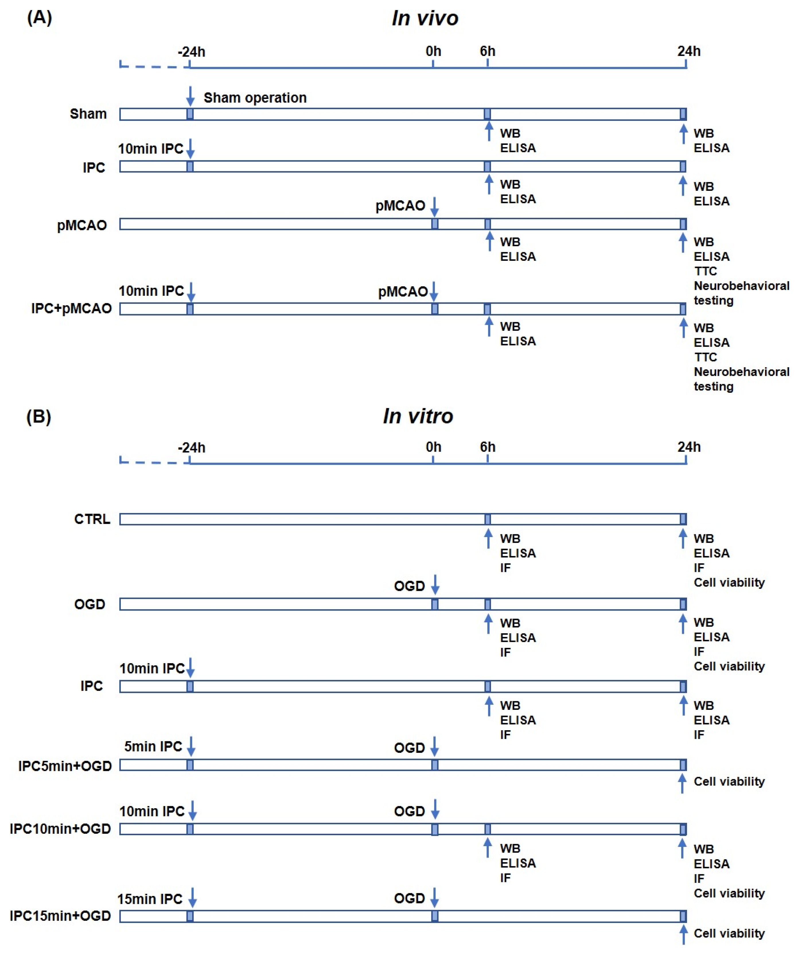 Brainsci 13 00897 g001