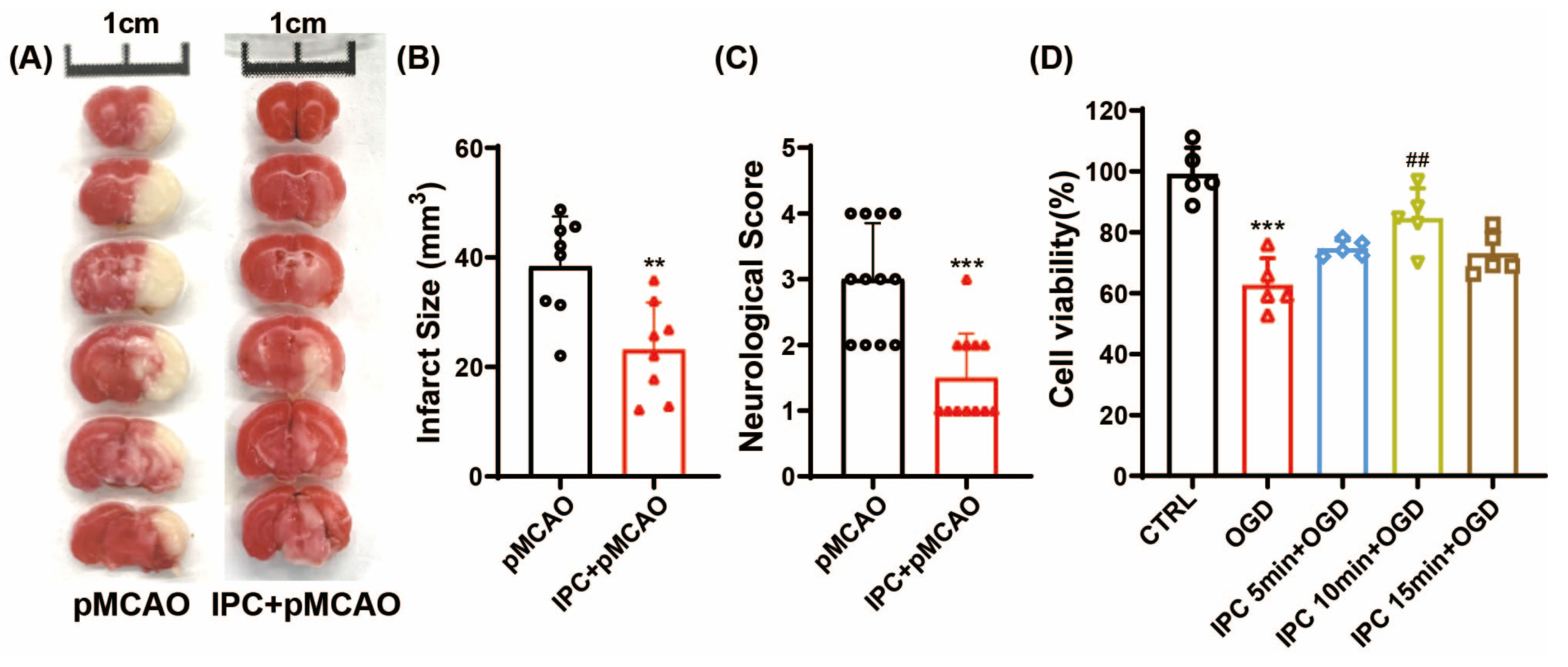 Brainsci 13 00897 g002