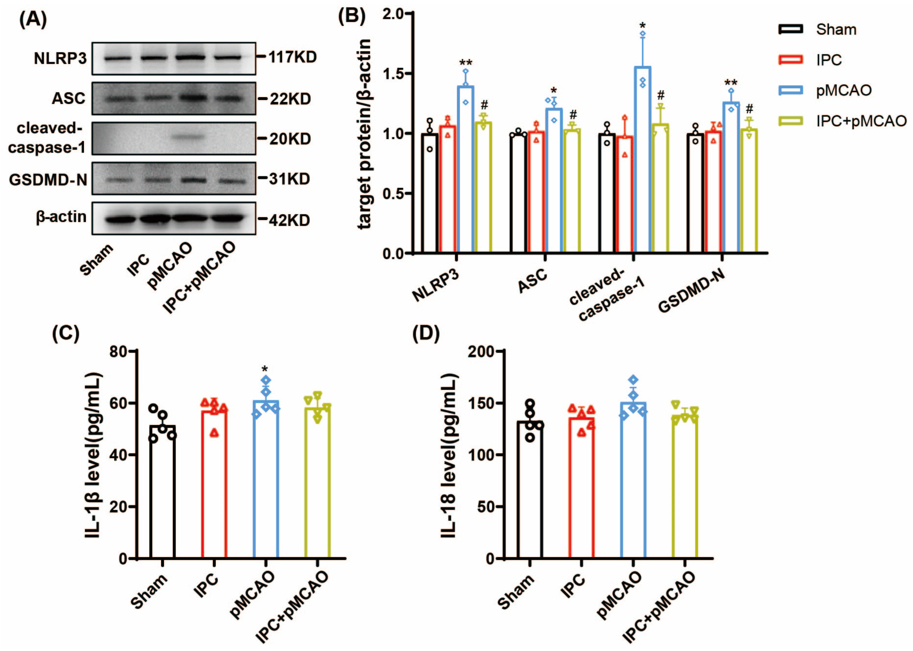 Brainsci 13 00897 g003