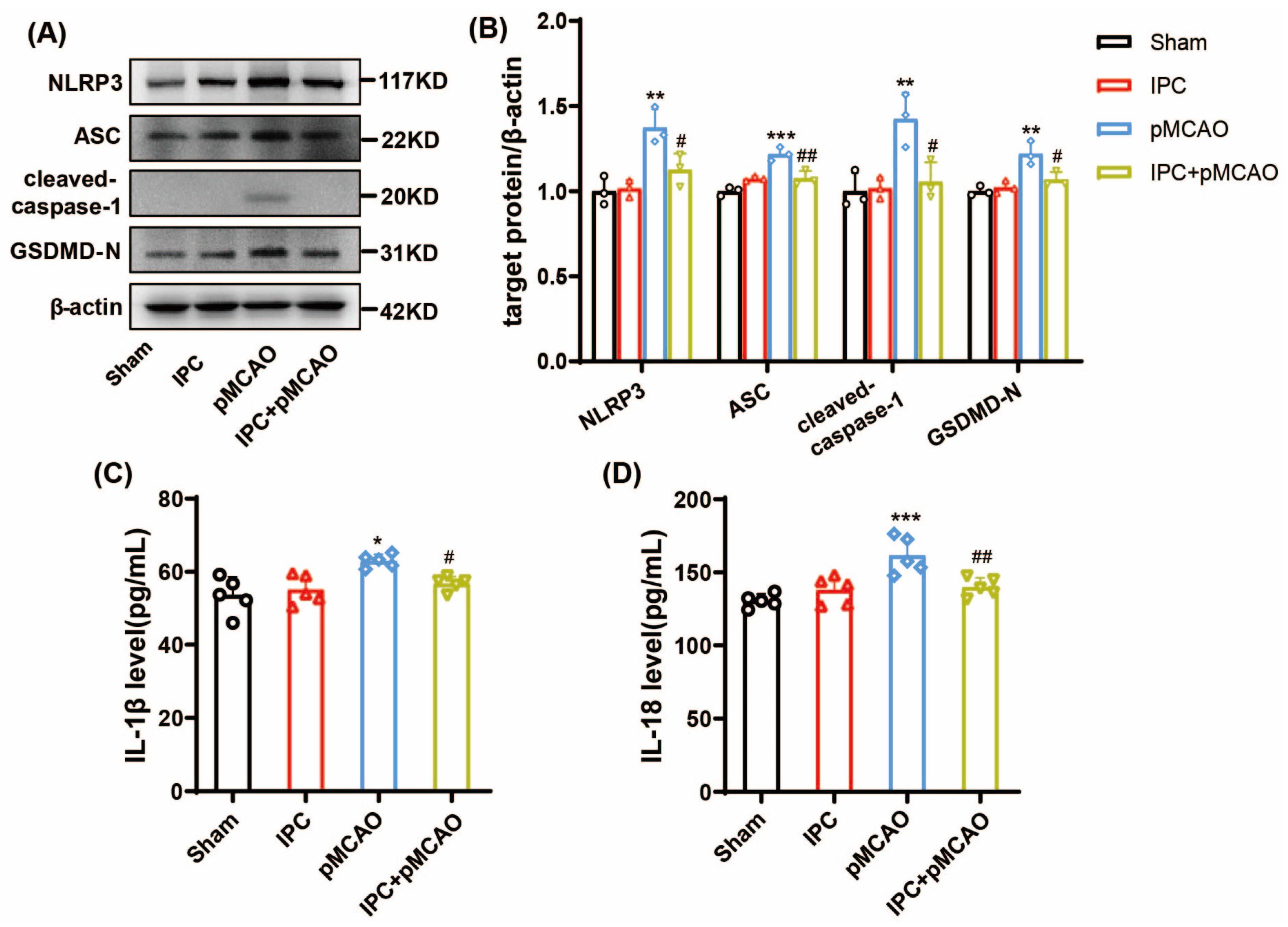 Brainsci 13 00897 g004