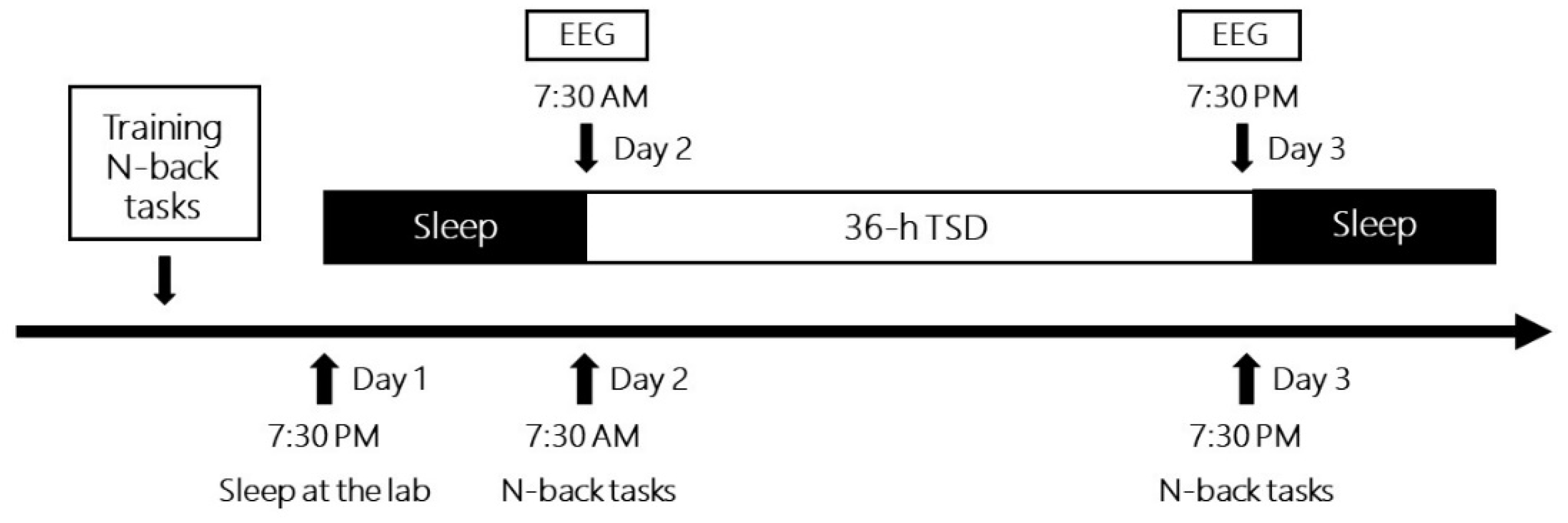 Brainsci 13 00898 g002