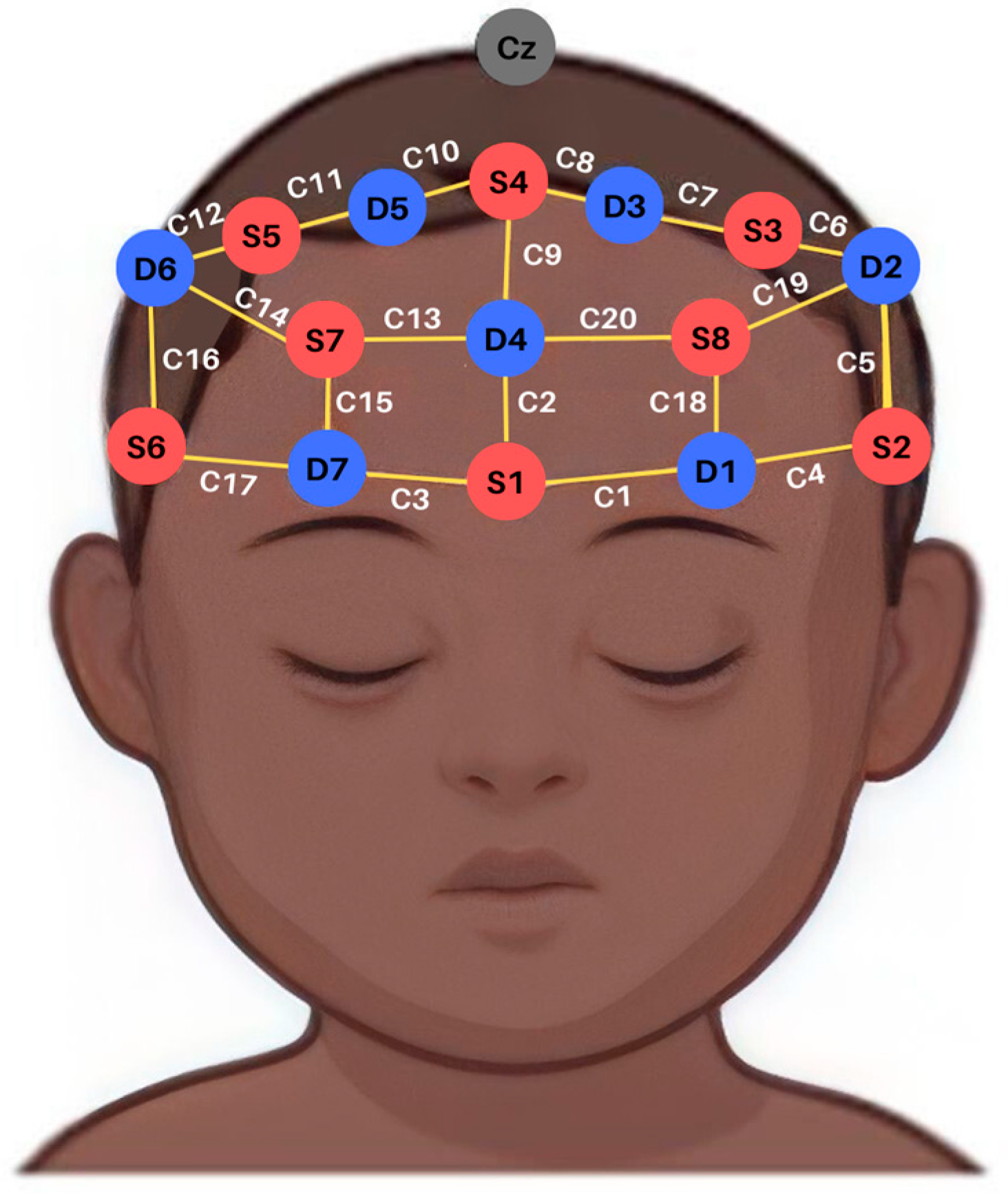 Brainsci 13 00905 g001