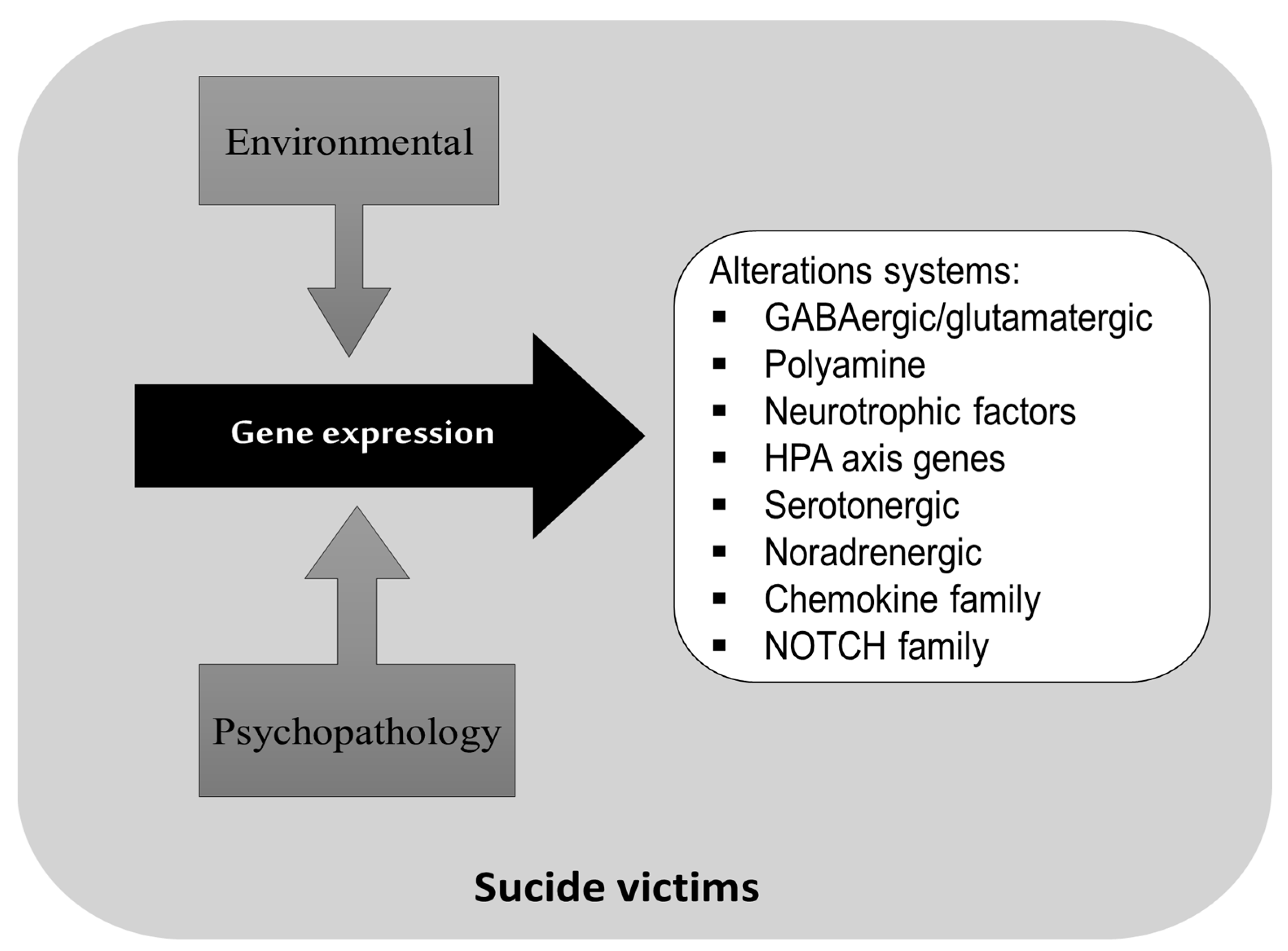 Brainsci 13 00906 g003