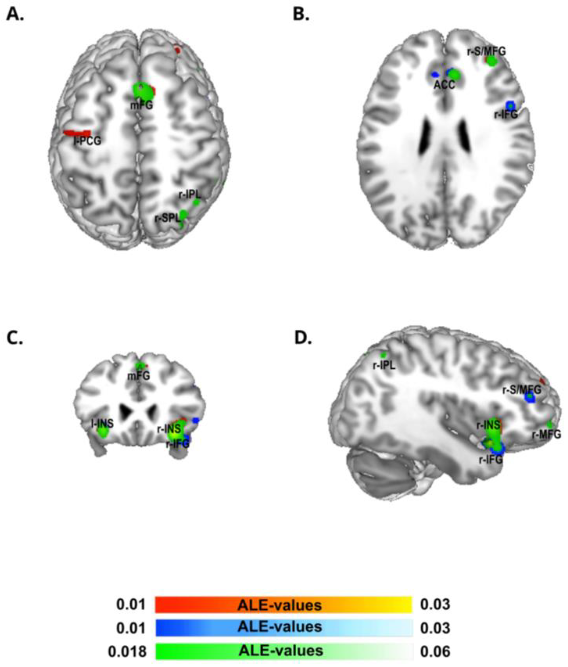 Brainsci 13 00907 g002