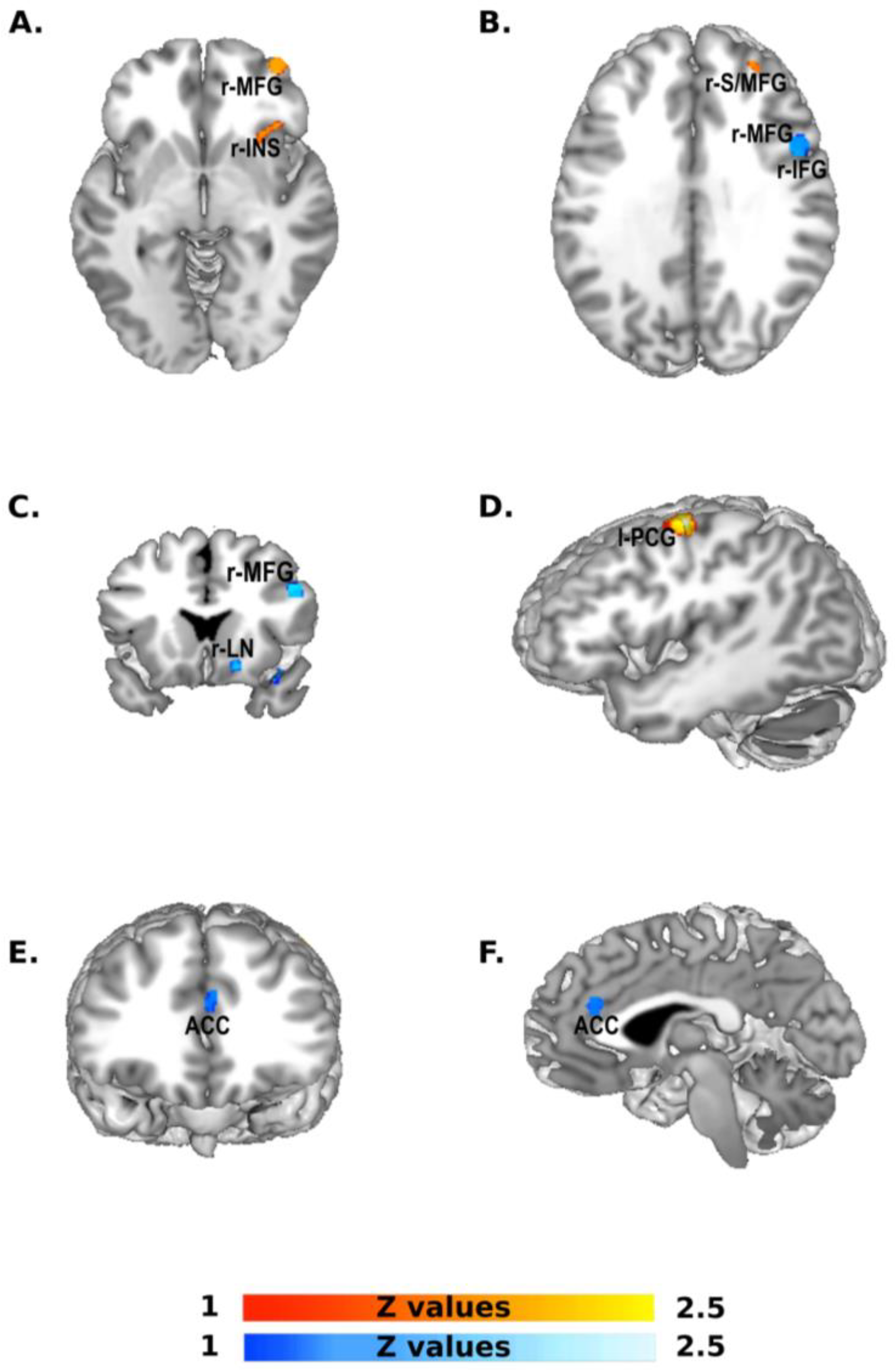 Brainsci 13 00907 g003