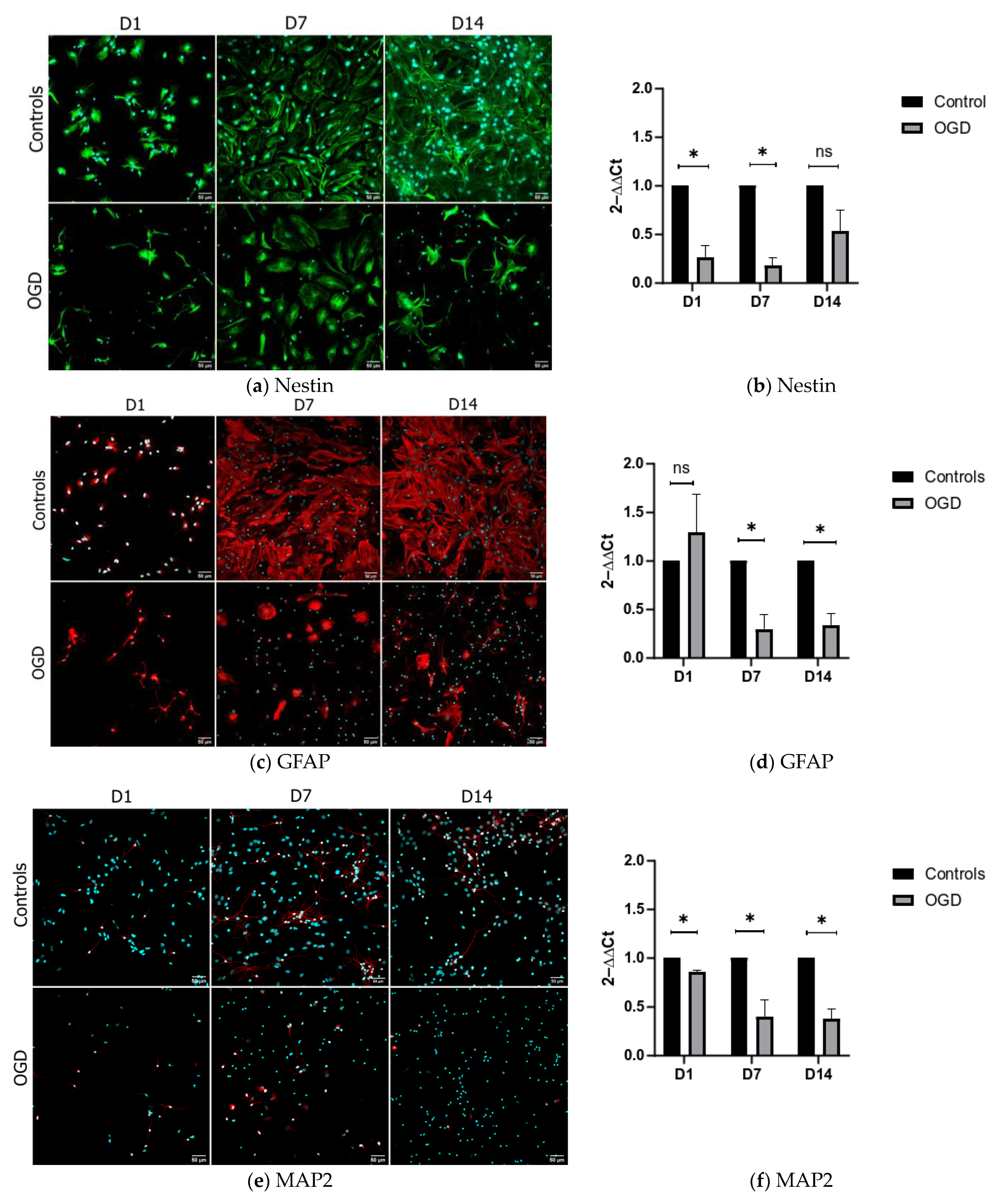 Brainsci 13 00910 g002 Brainsci 13 00910 g002