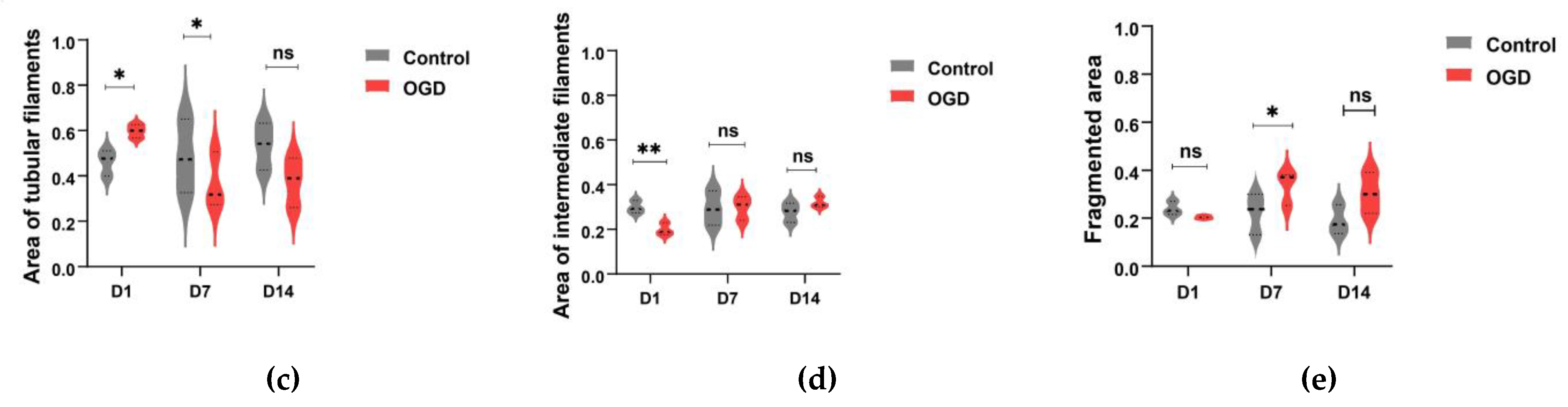 Brainsci 13 00910 g006b Brainsci 13 00910 g006b