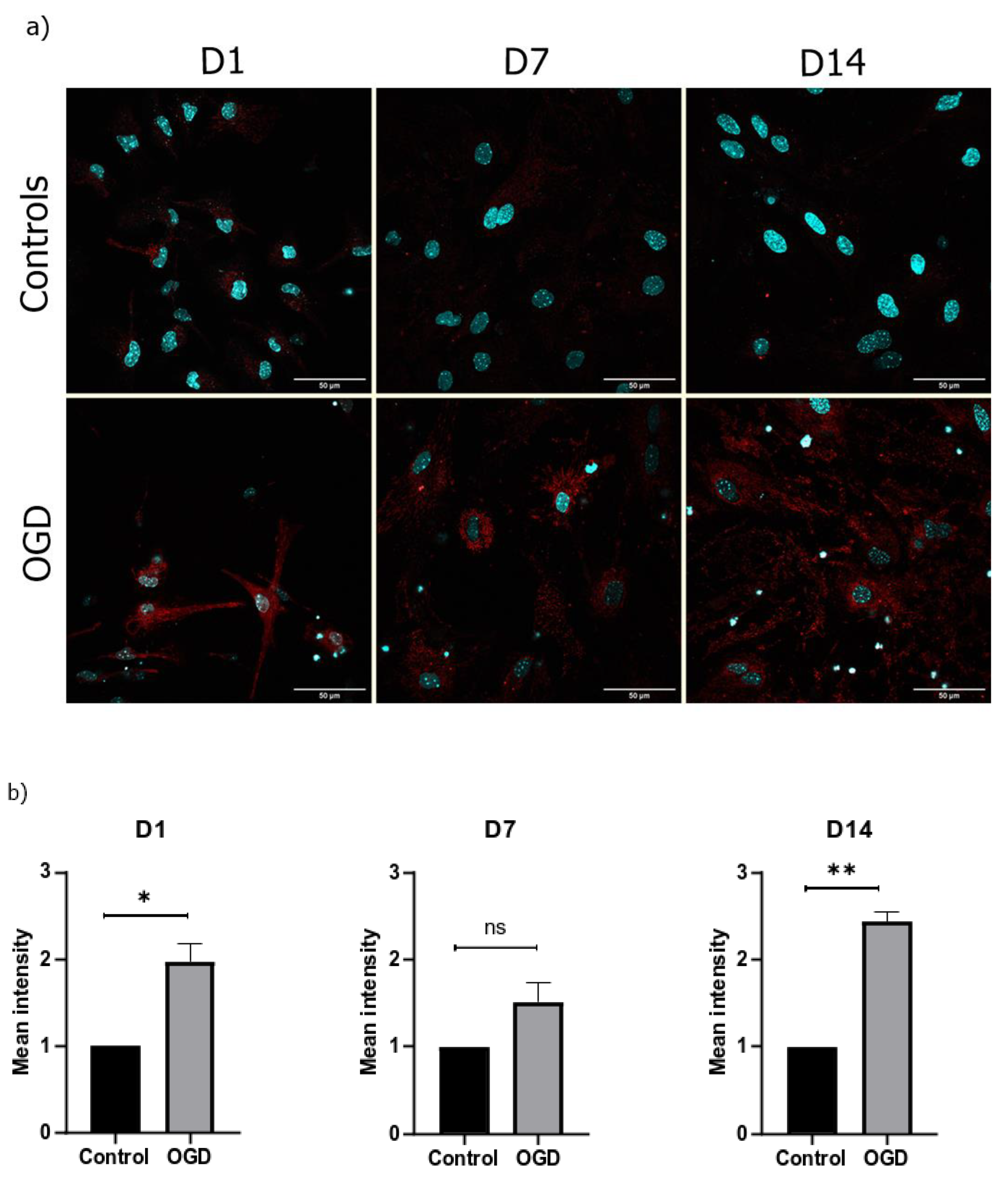 Brainsci 13 00910 g007 Brainsci 13 00910 g007