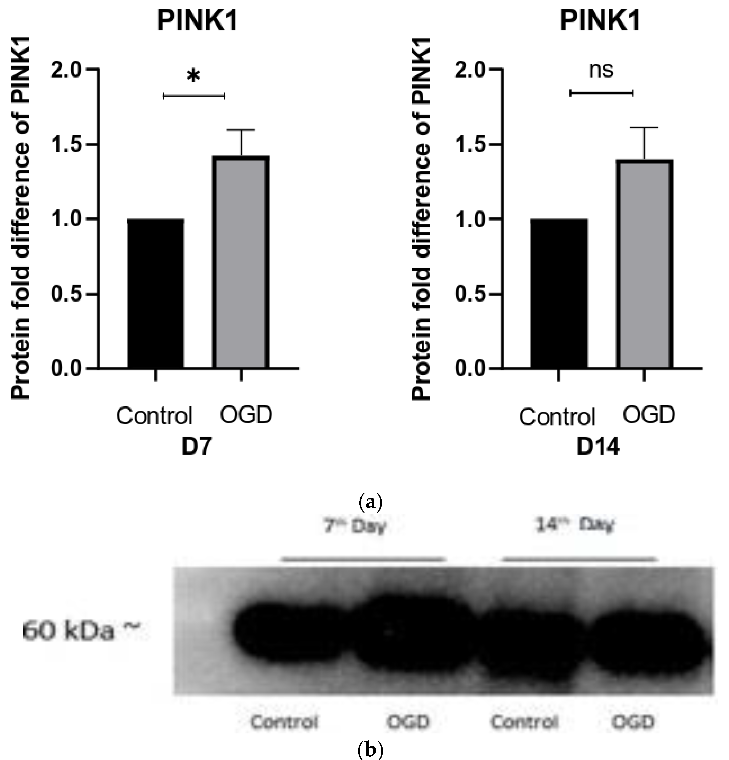 Brainsci 13 00910 g009 Brainsci 13 00910 g009