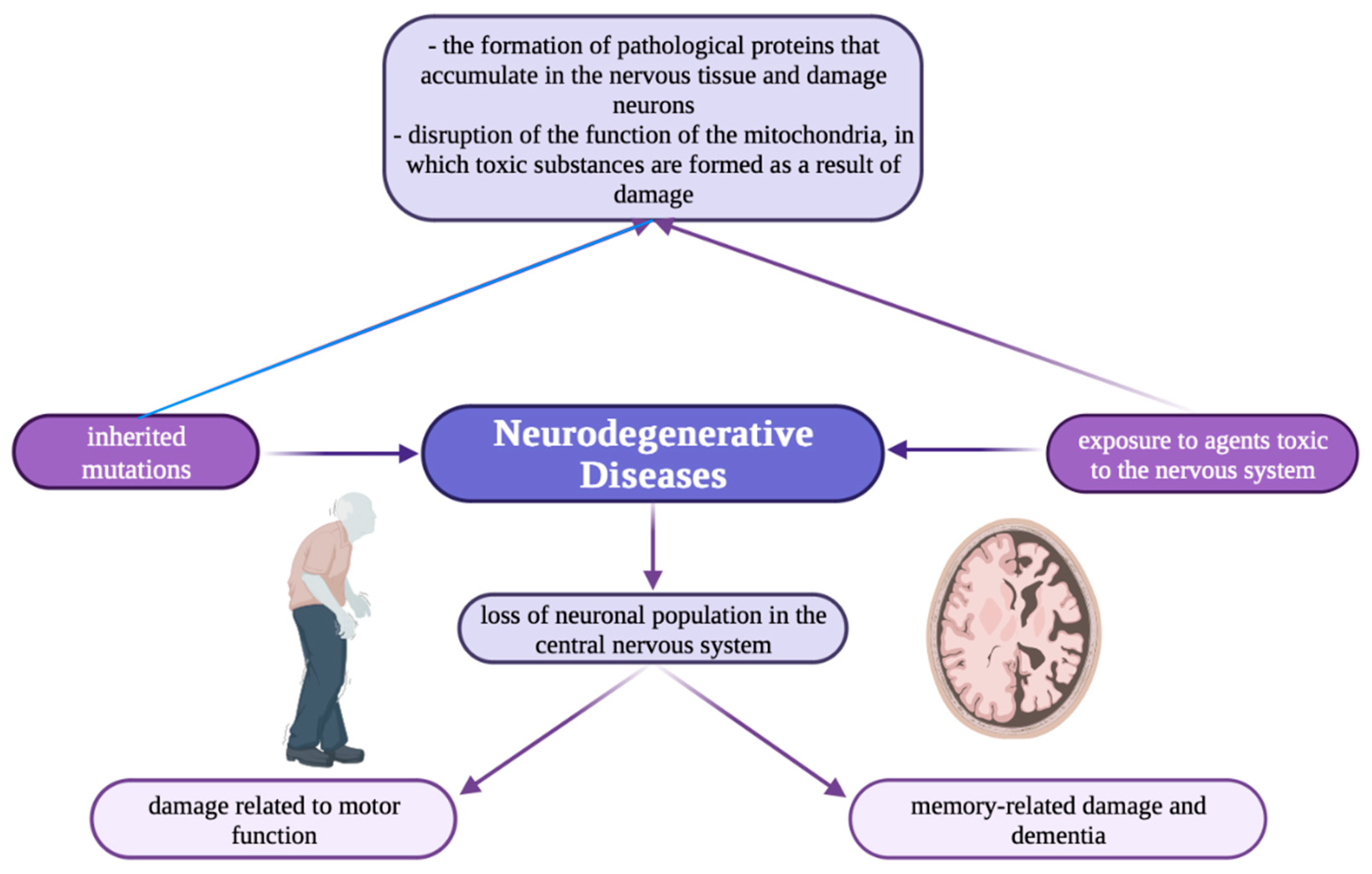 Brainsci 13 00911 g001