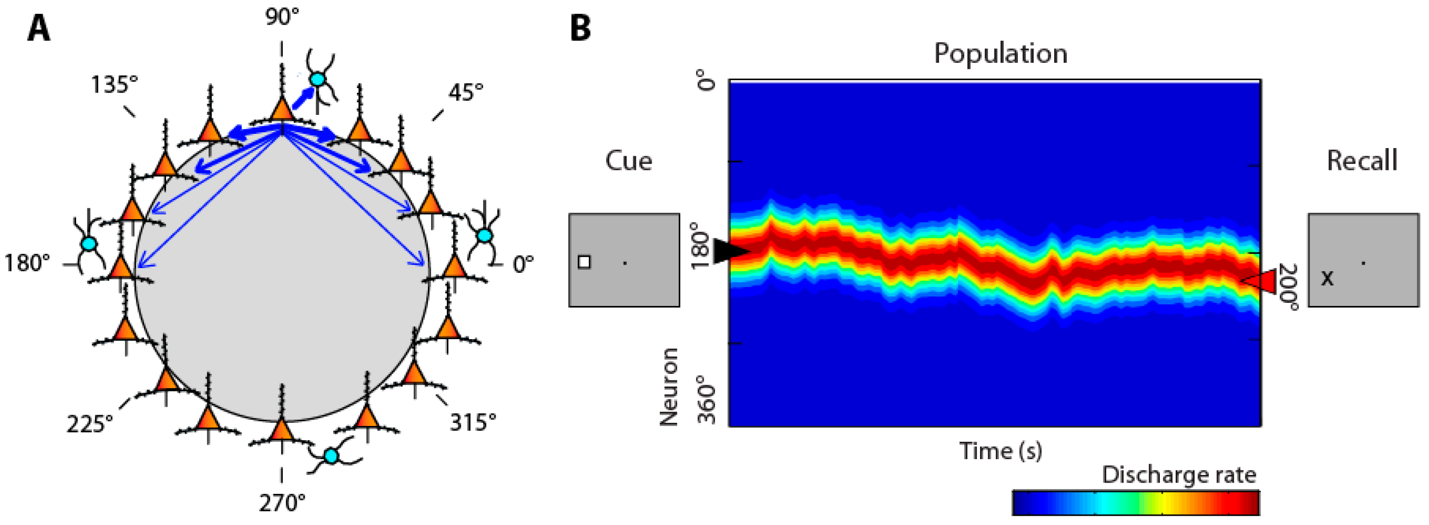 Brainsci 13 00917 g001