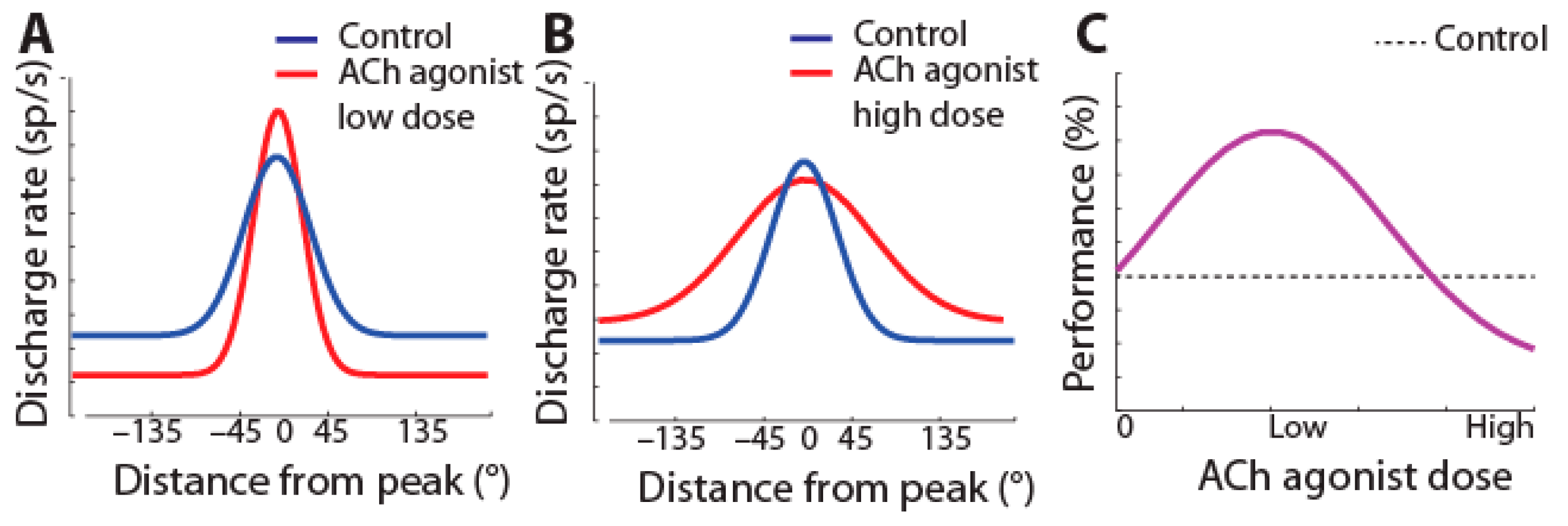 Brainsci 13 00917 g002
