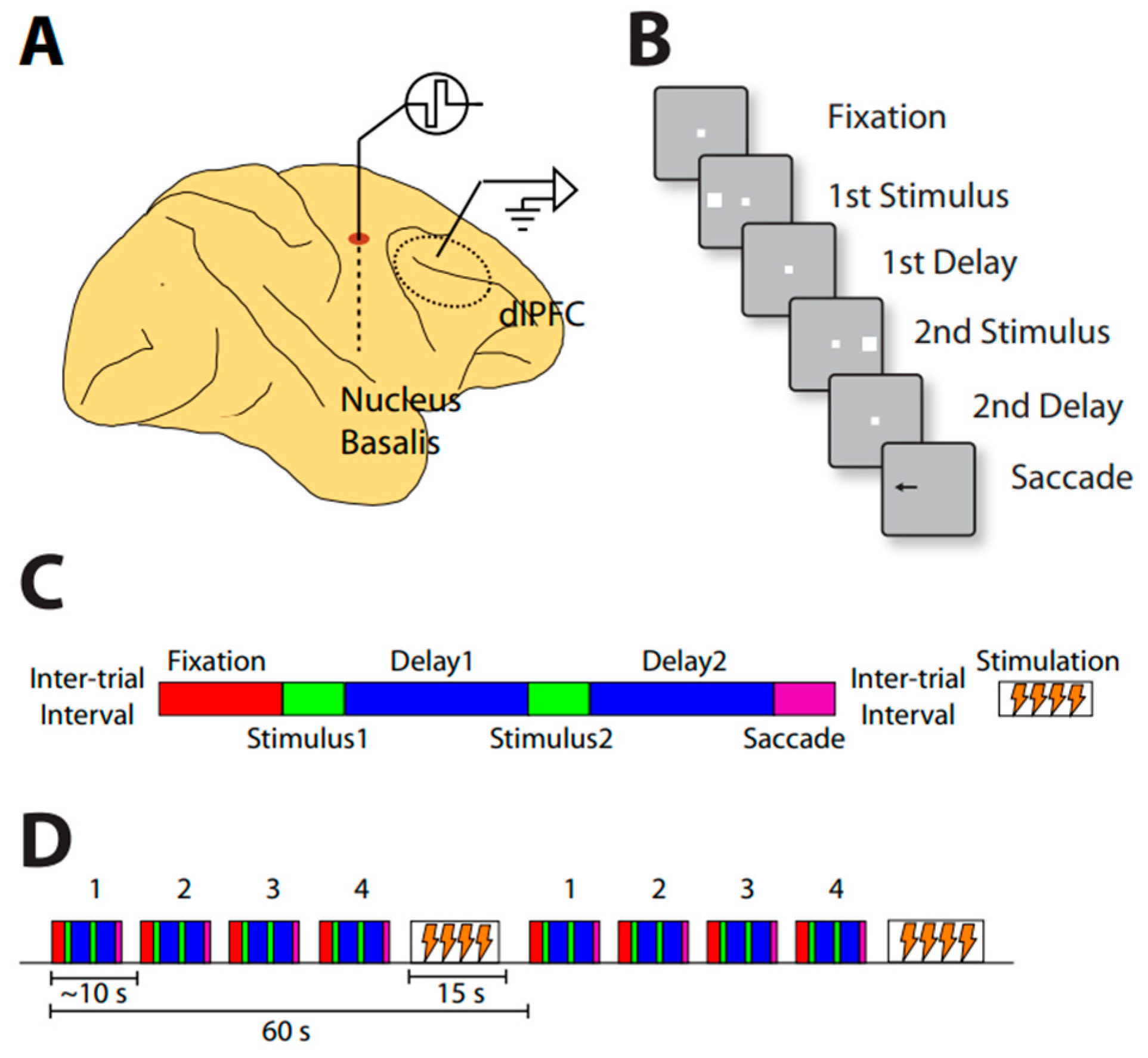 Brainsci 13 00917 g003