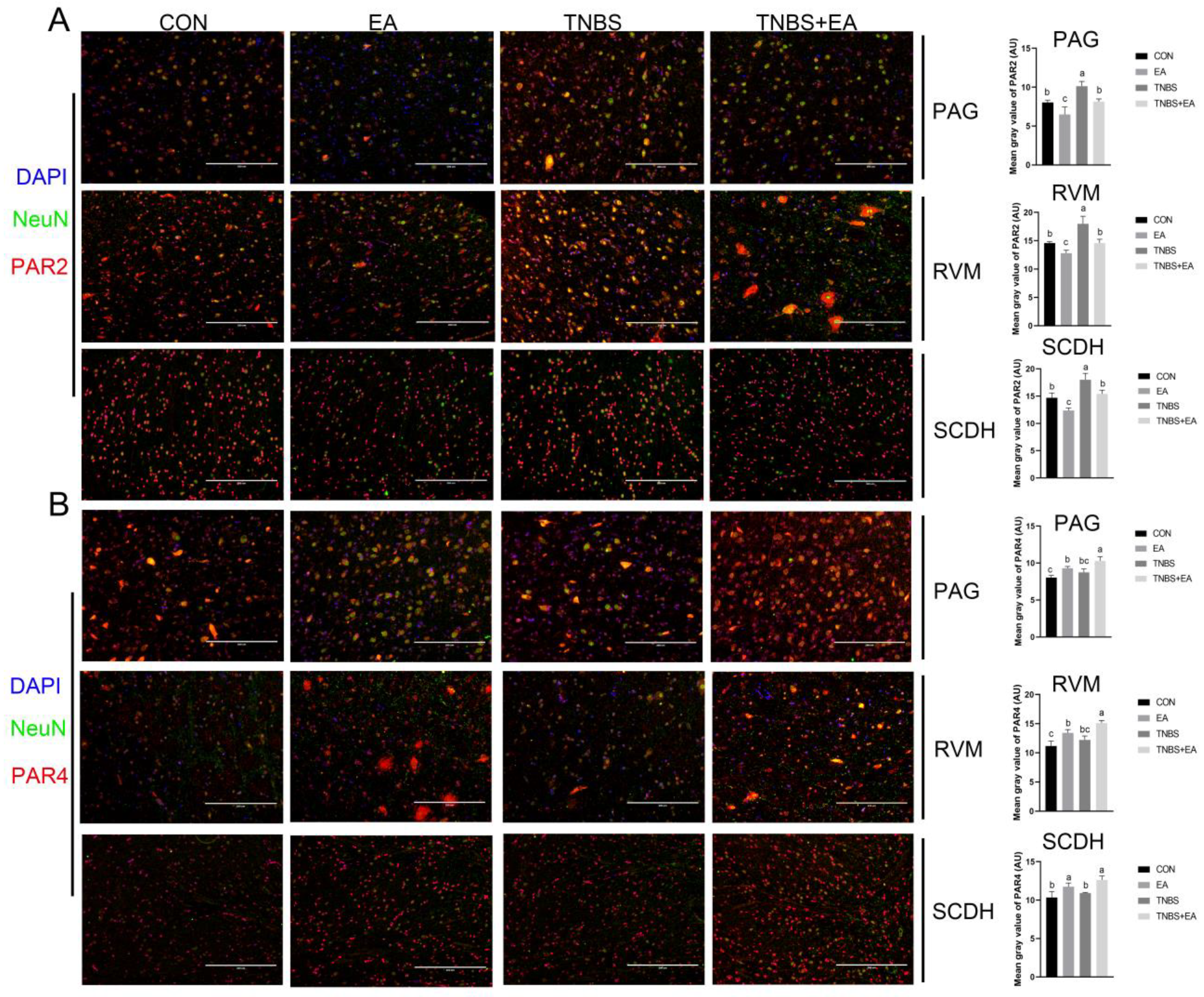 Brainsci 13 00922 g009