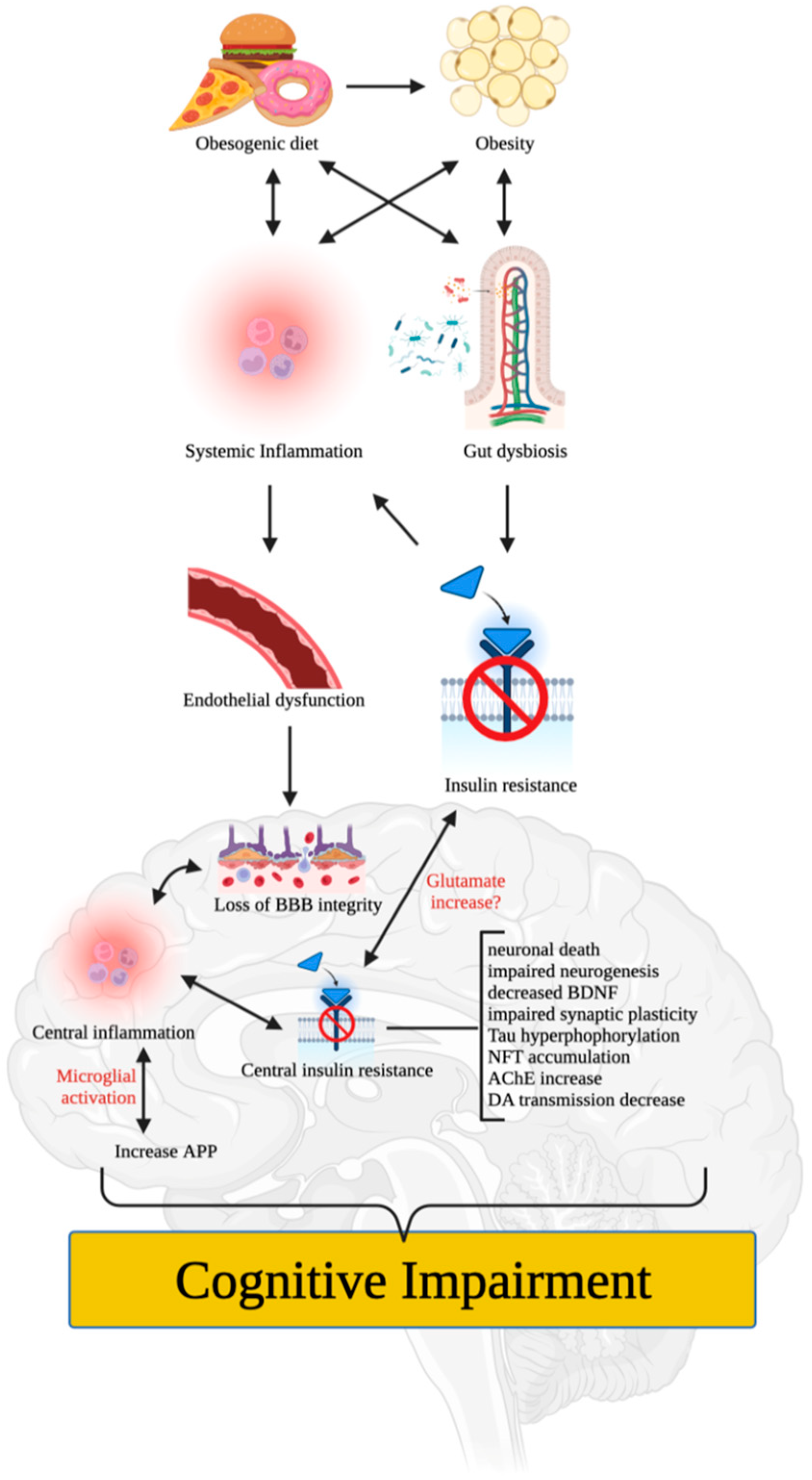Brainsci 13 00929 g001 Brainsci 13 00929 g001