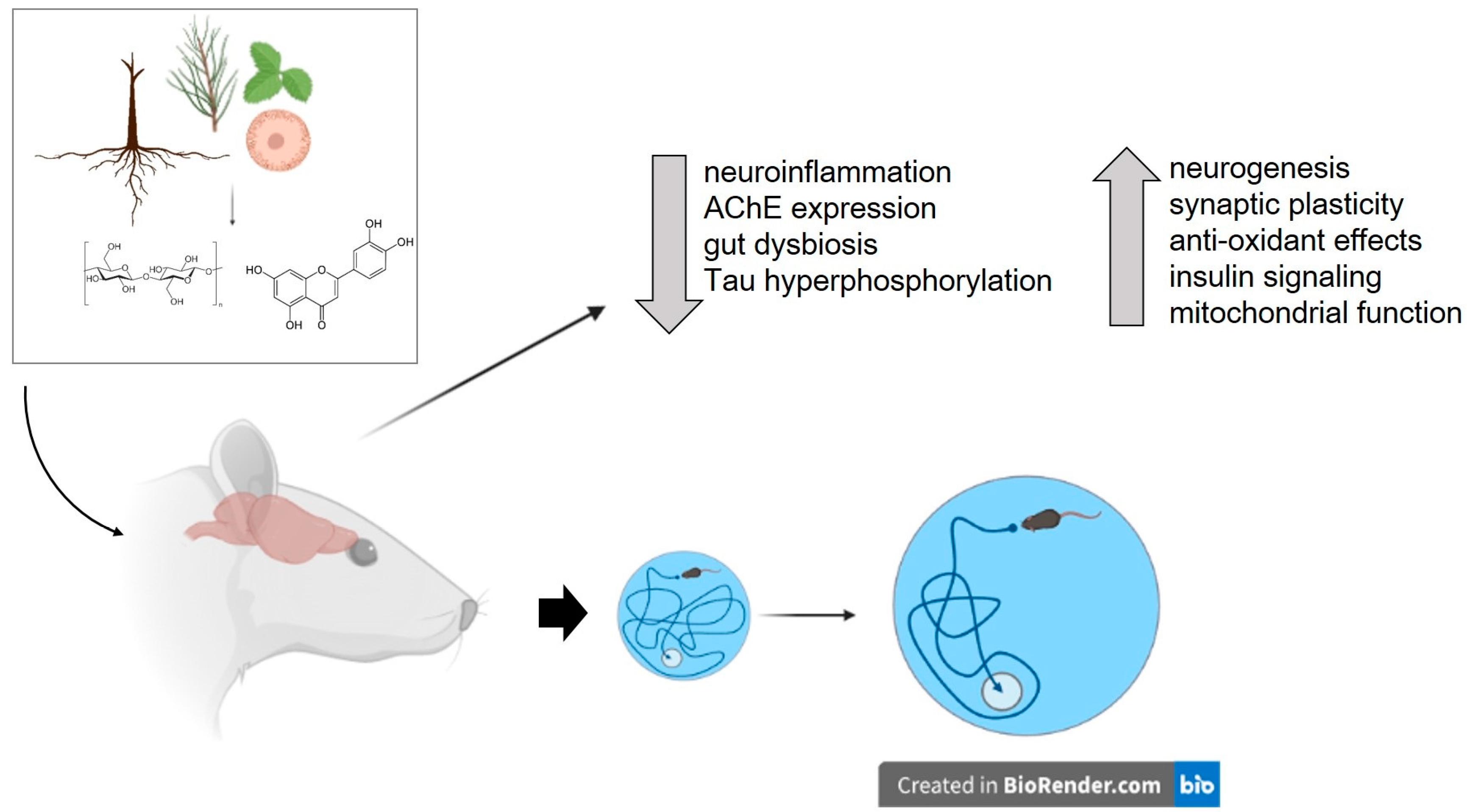 Brainsci 13 00929 g002 Brainsci 13 00929 g002