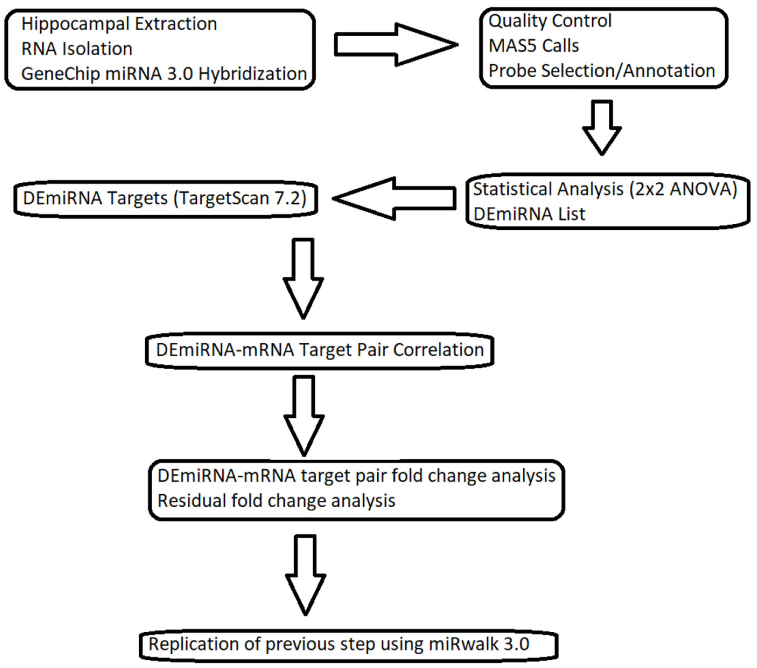 Brainsci 13 00934 g001