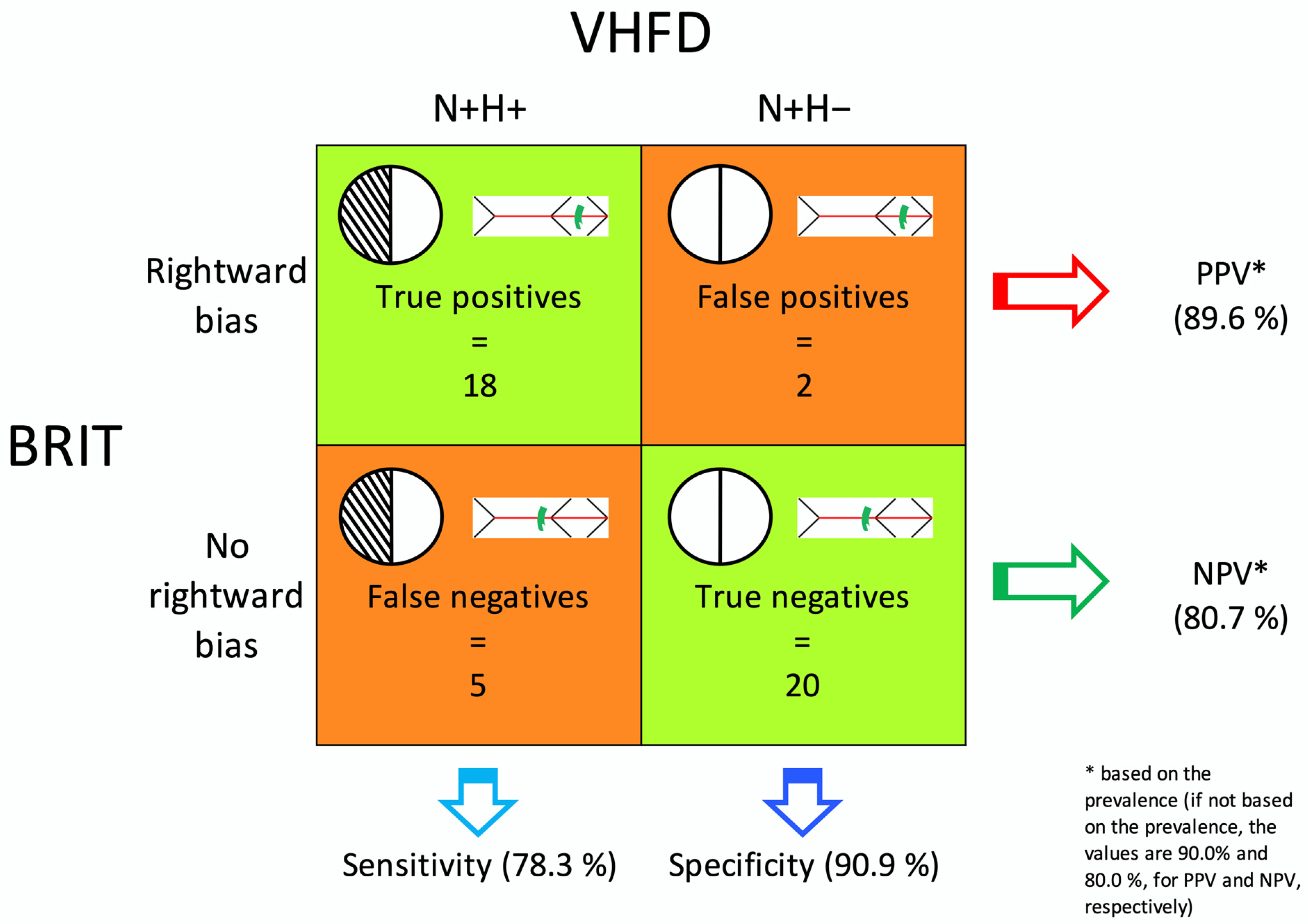 Brainsci 13 00937 g002
