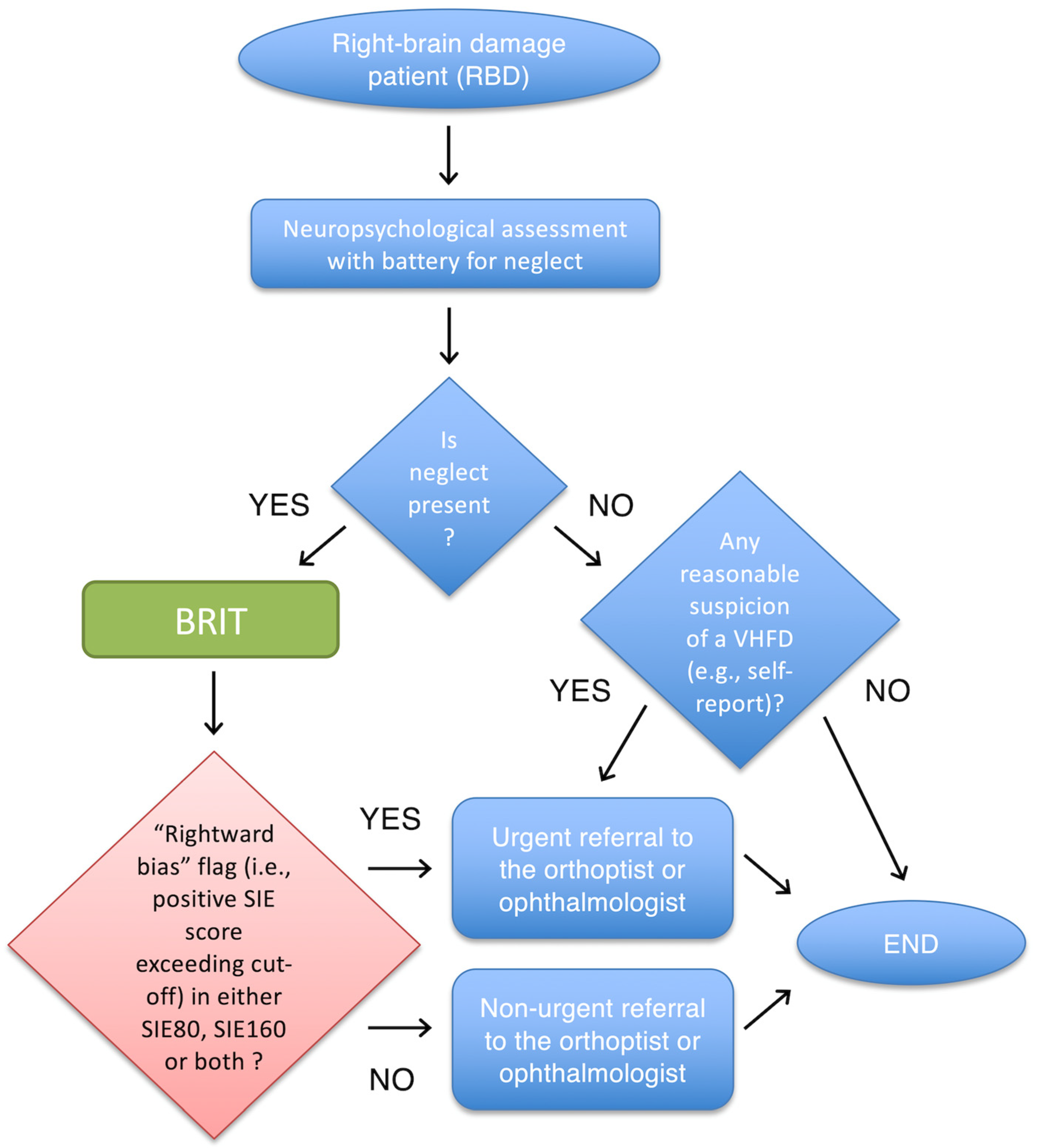 Brainsci 13 00937 g003