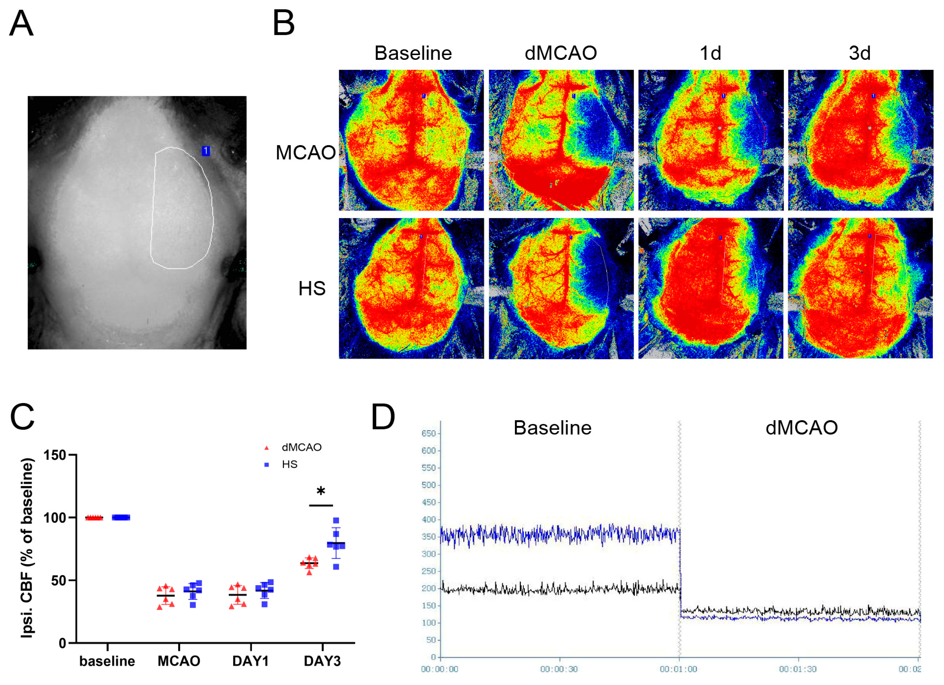 Brainsci 13 00939 g003