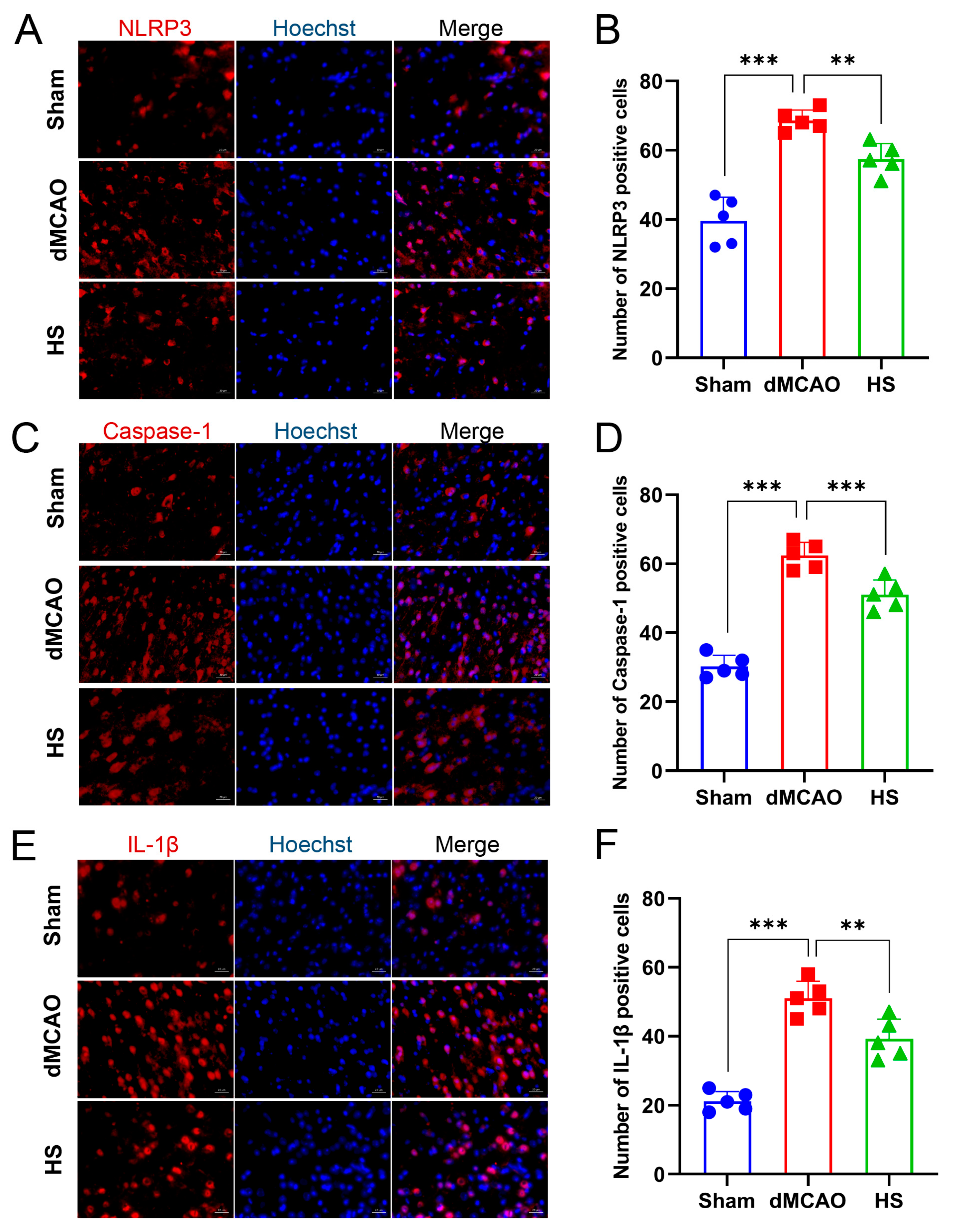 Brainsci 13 00939 g006