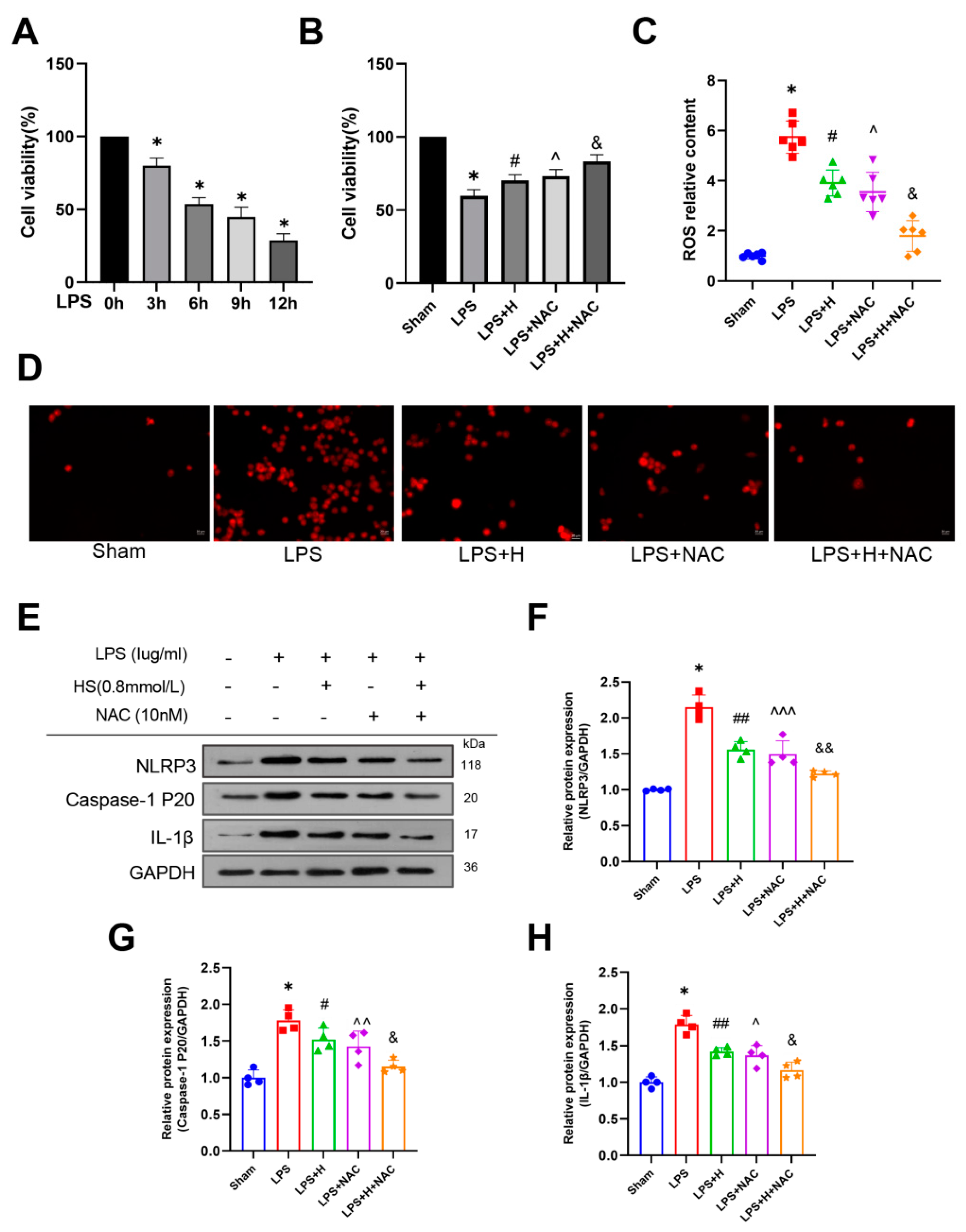 Brainsci 13 00939 g007