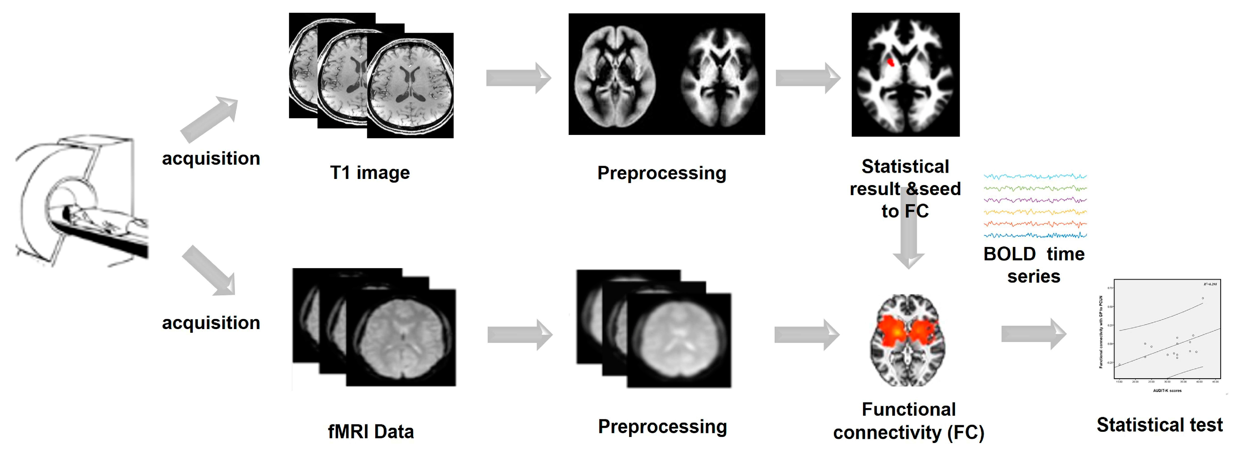 Brainsci 13 00942 g001