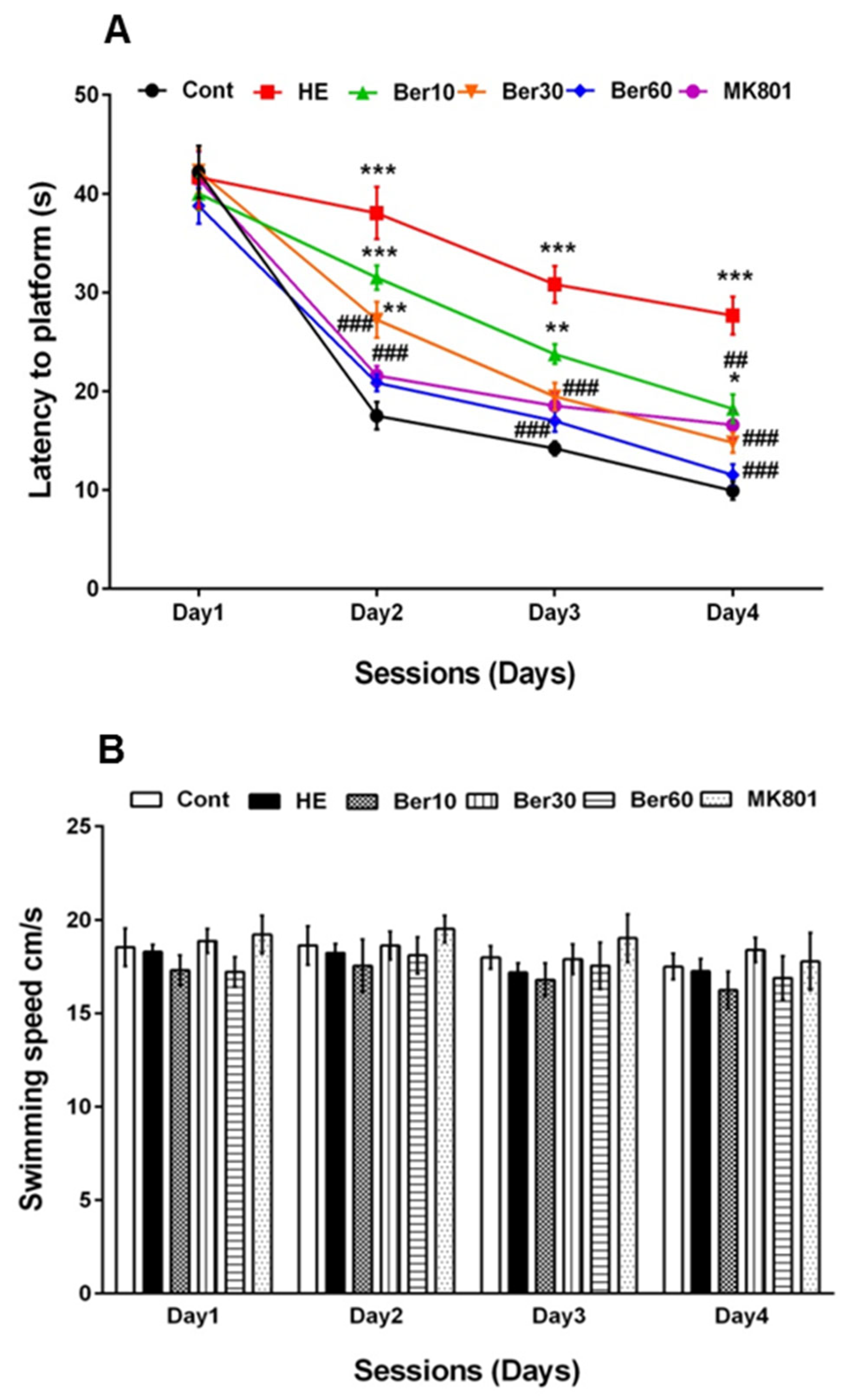 Brainsci 13 00944 g002a