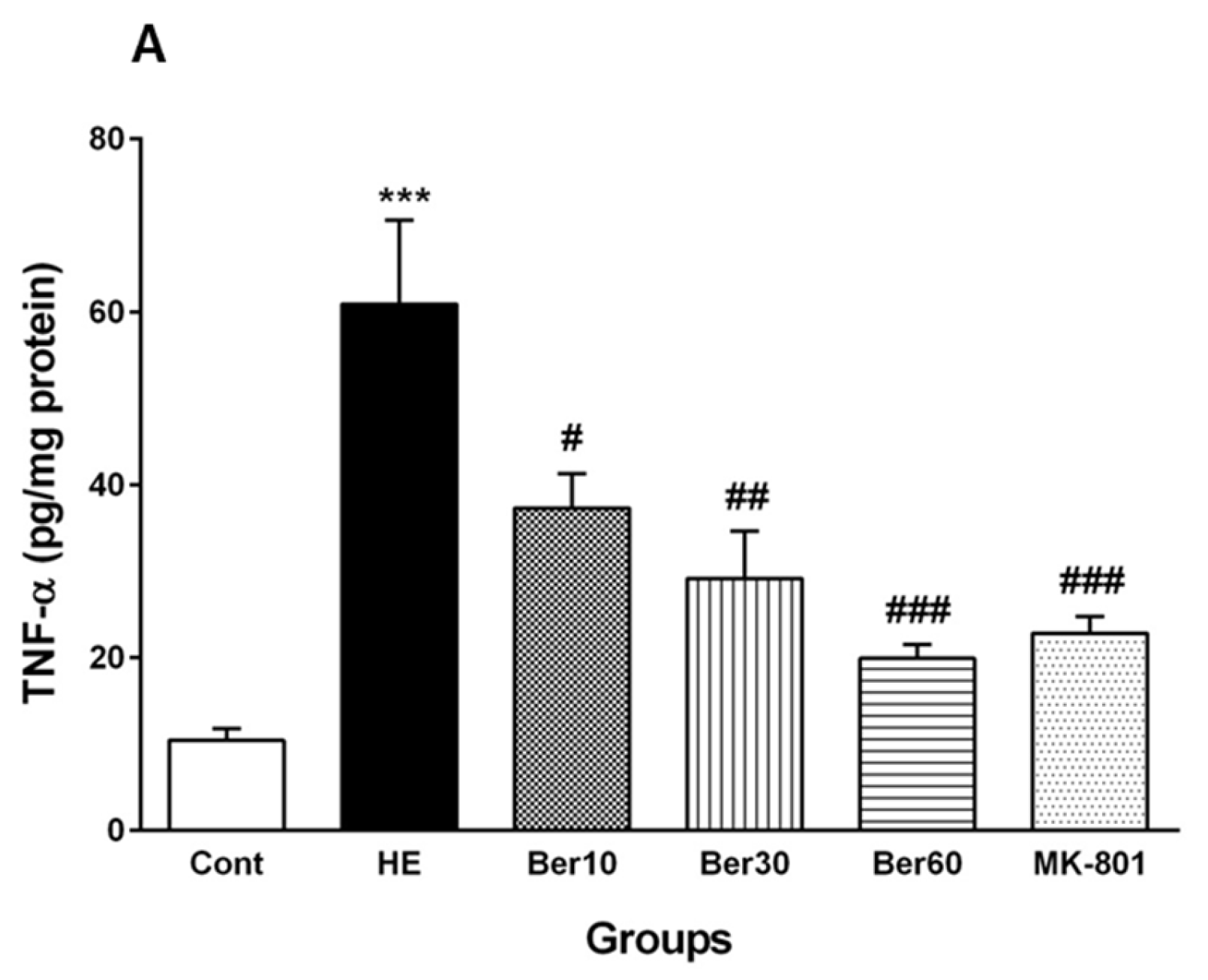 Brainsci 13 00944 g006a