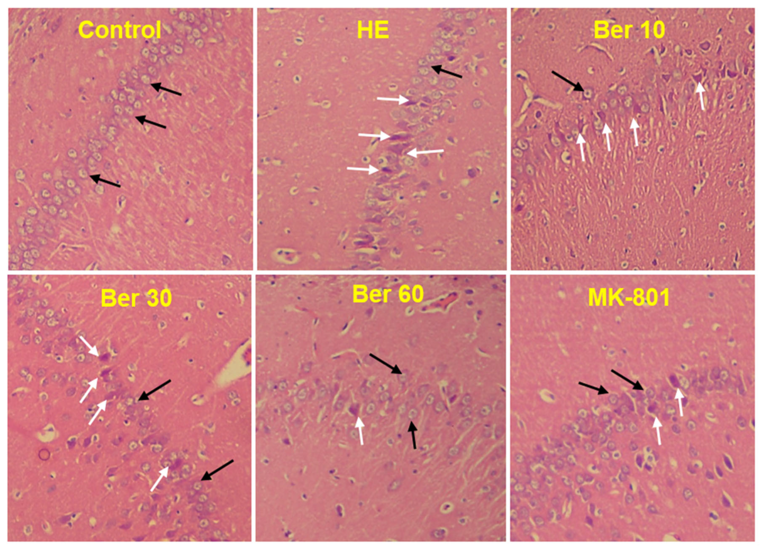 Brainsci 13 00944 g008