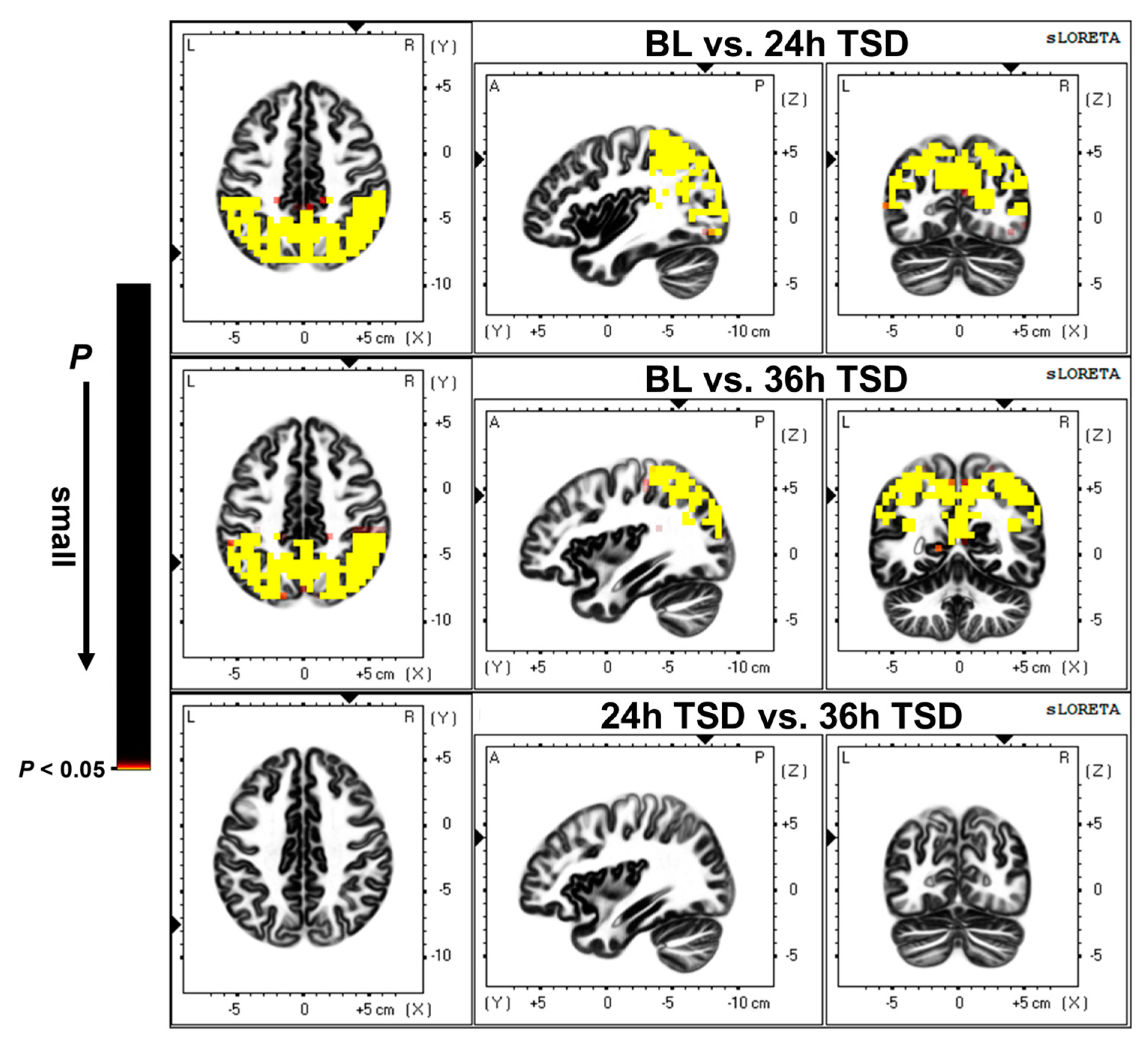 Brainsci 13 00949 g002