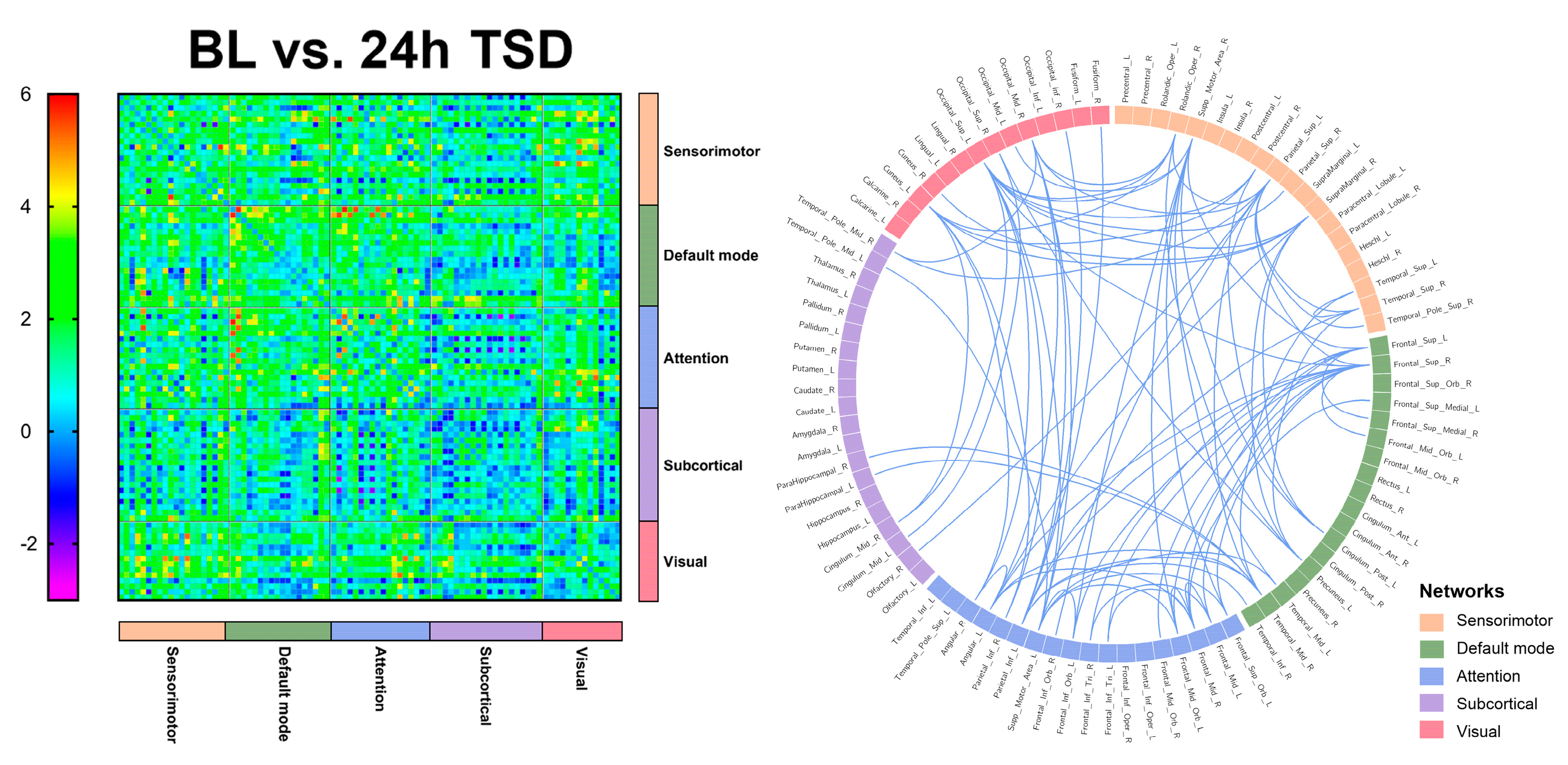 Brainsci 13 00949 g003