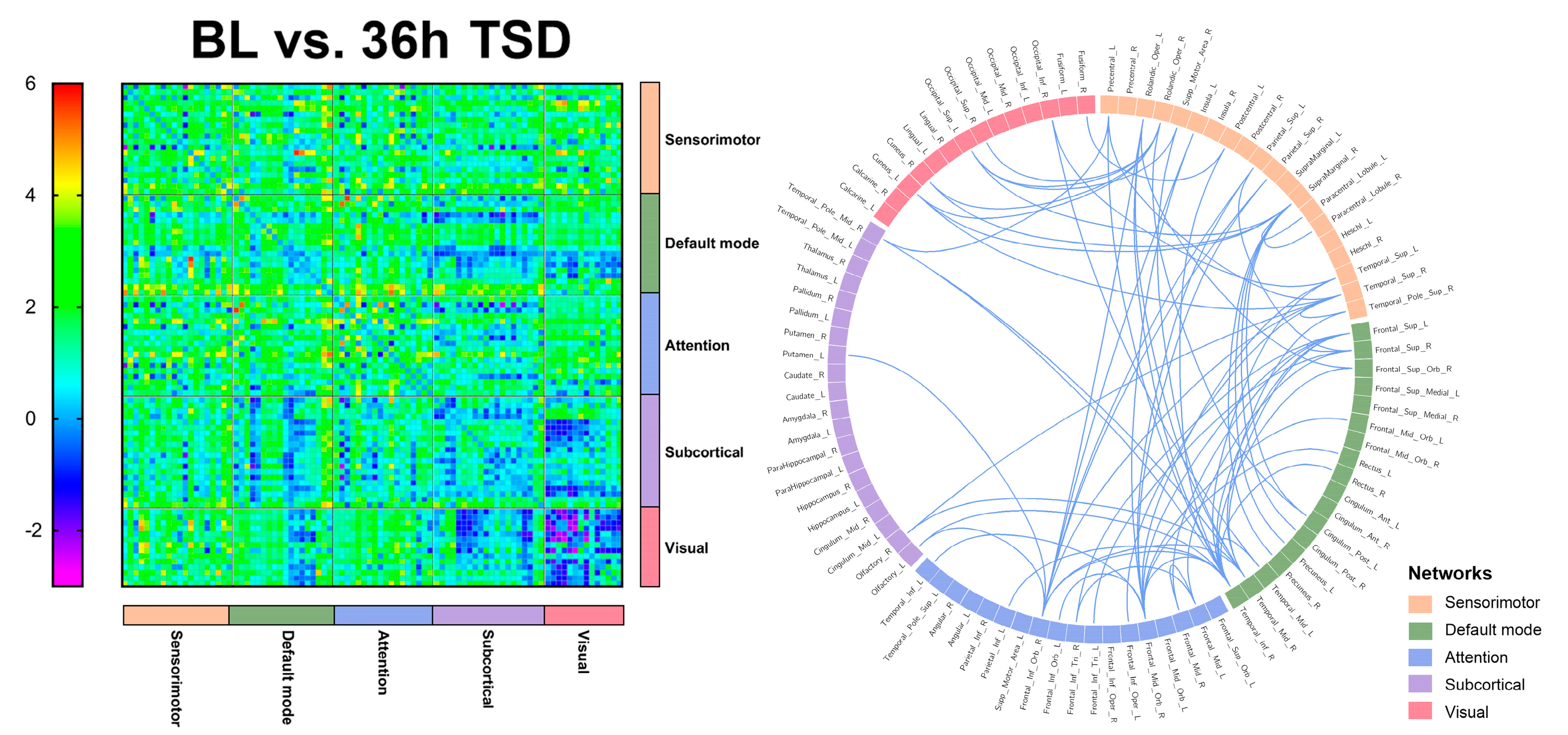 Brainsci 13 00949 g004
