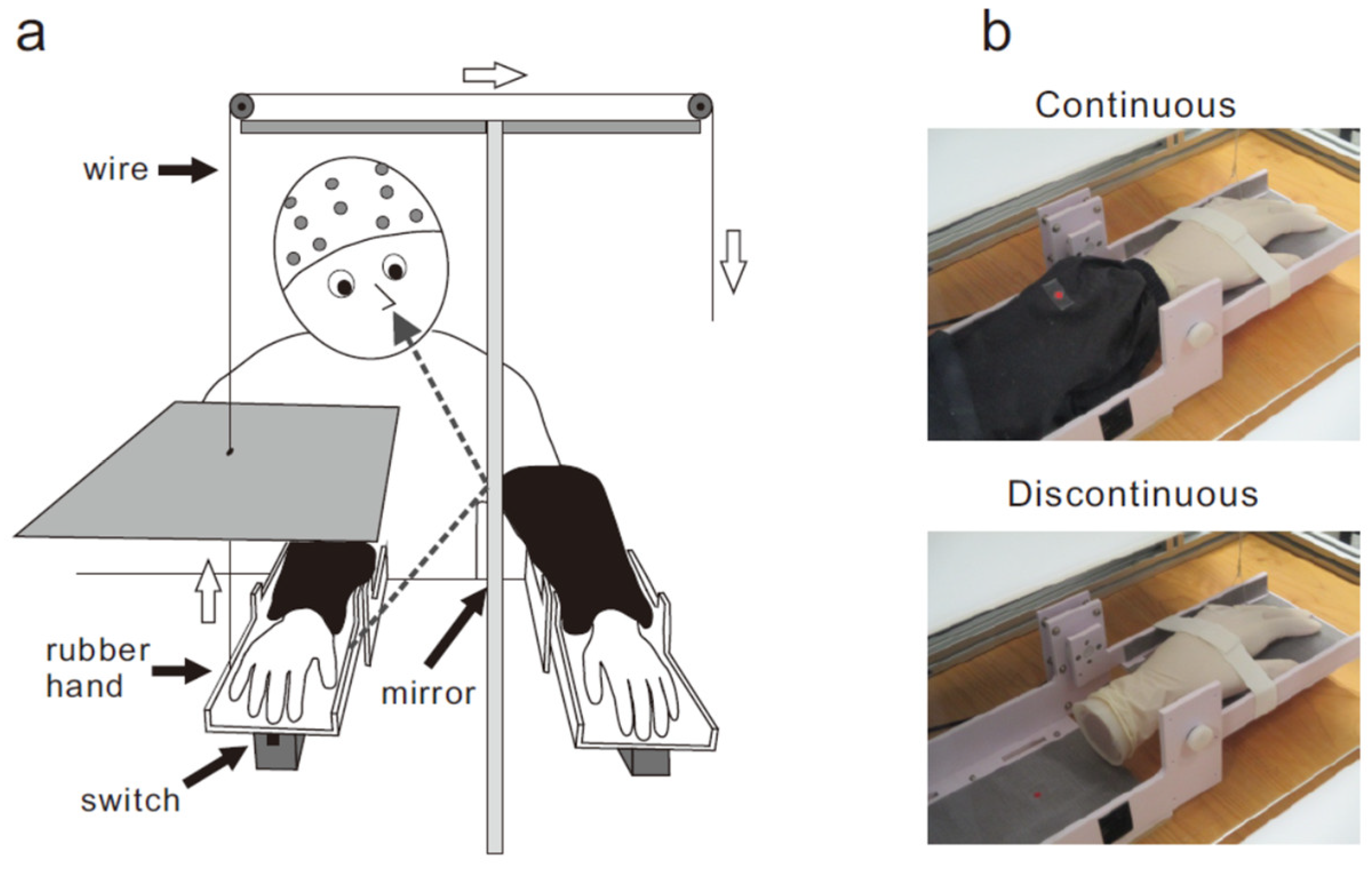 Brainsci 13 00969 g001