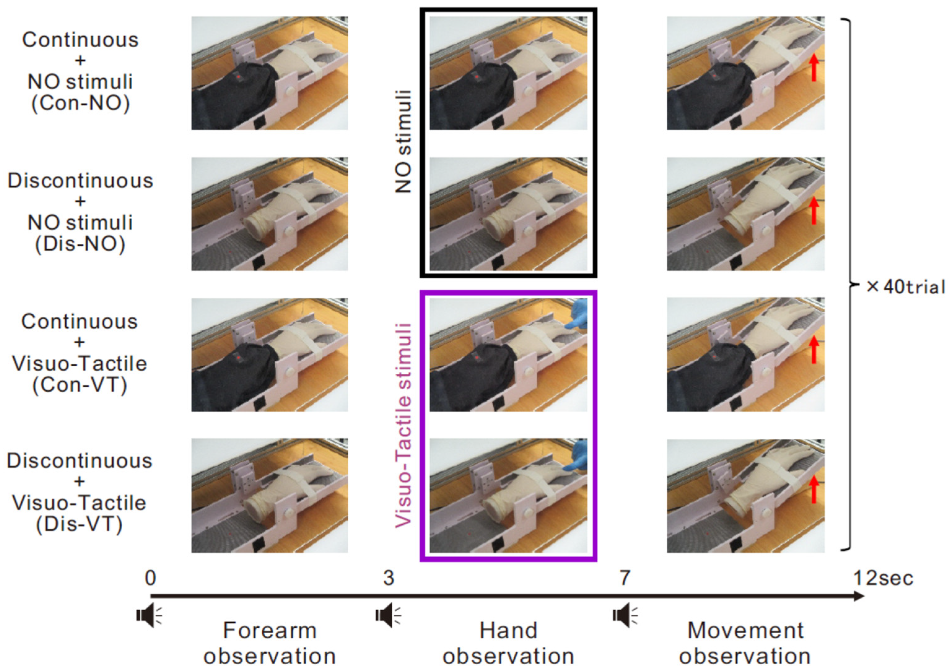 Brainsci 13 00969 g002