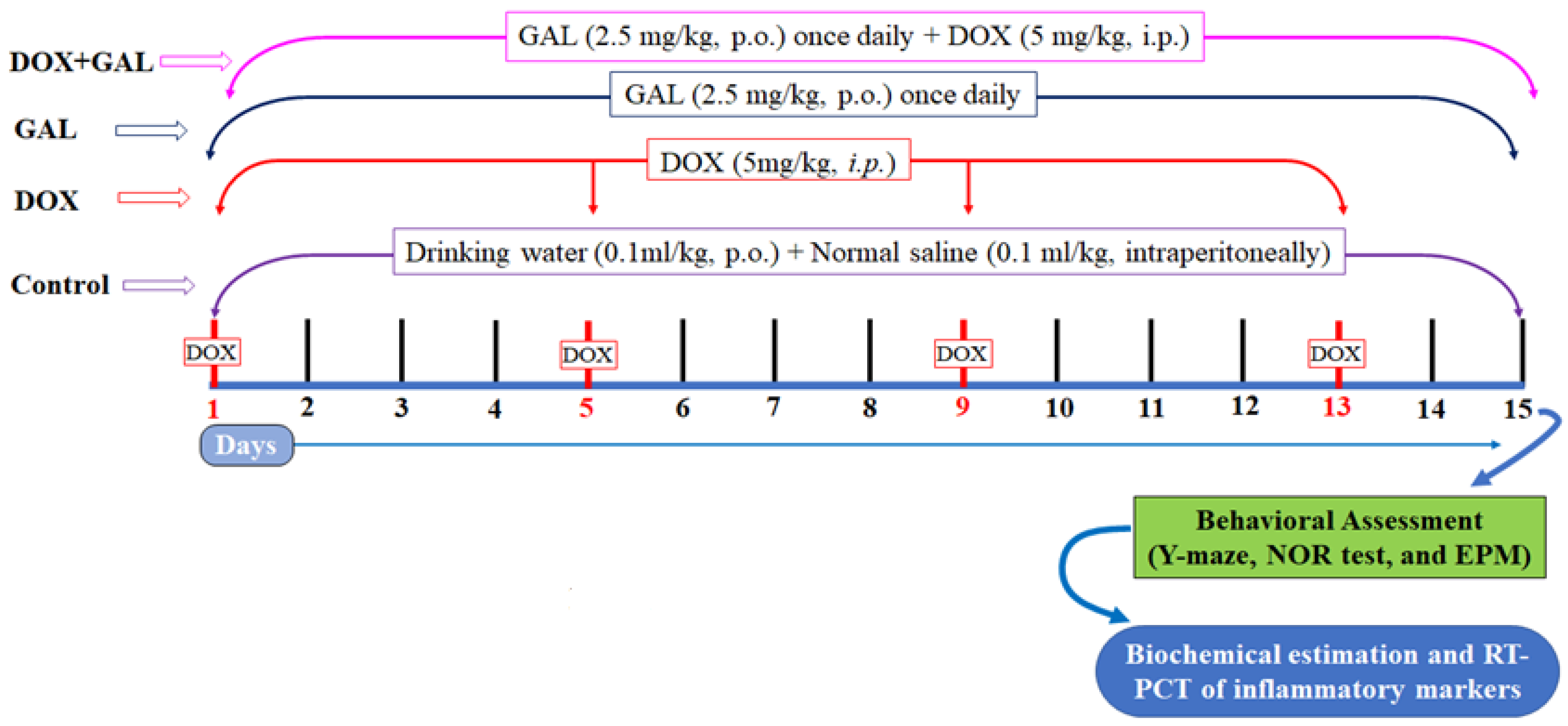 Brainsci 13 00971 g001 Brainsci 13 00971 g001