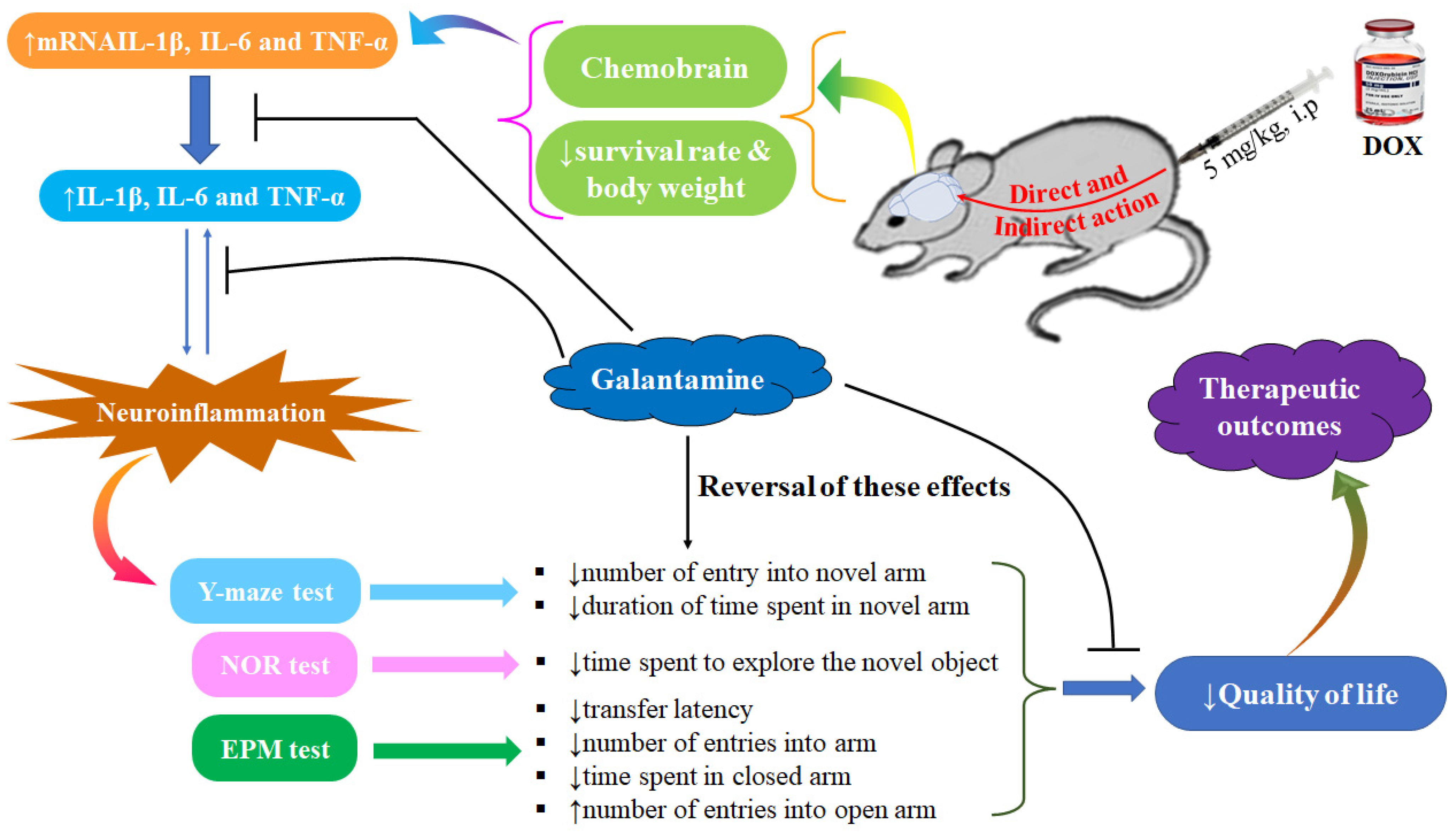 Brainsci 13 00971 g008 Brainsci 13 00971 g008