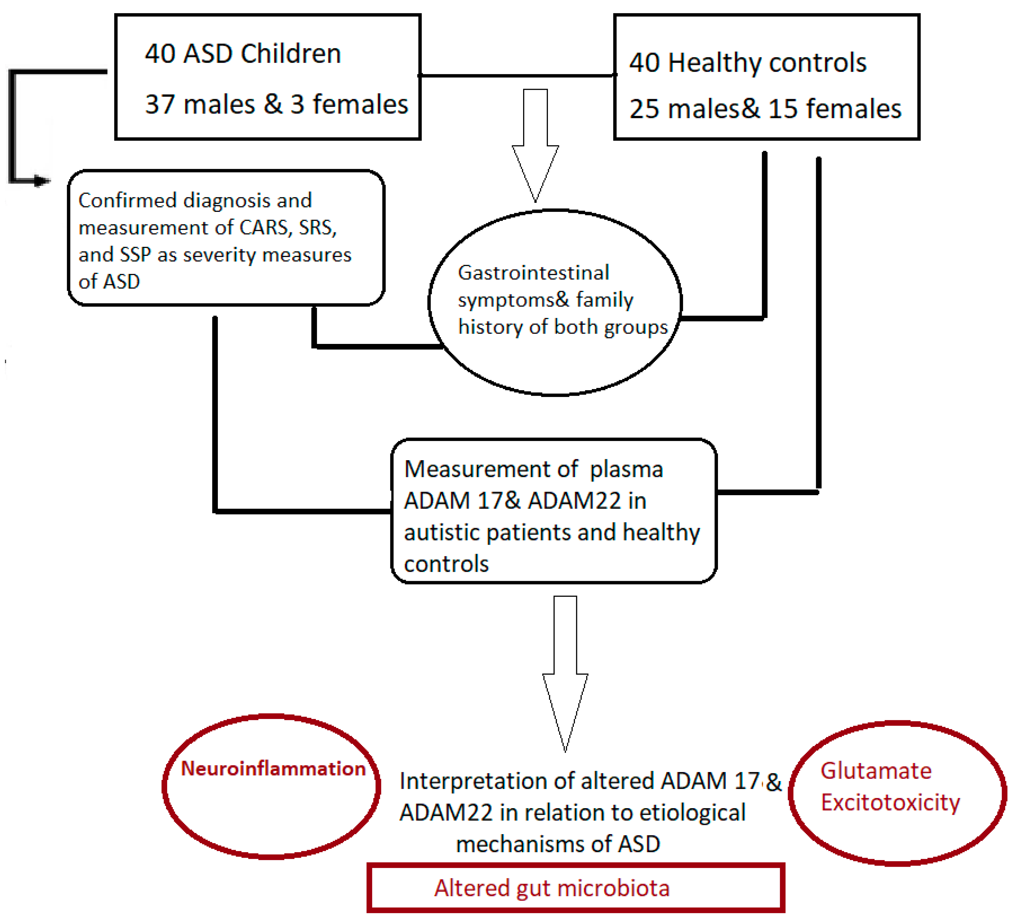 Brainsci 13 00972 g002