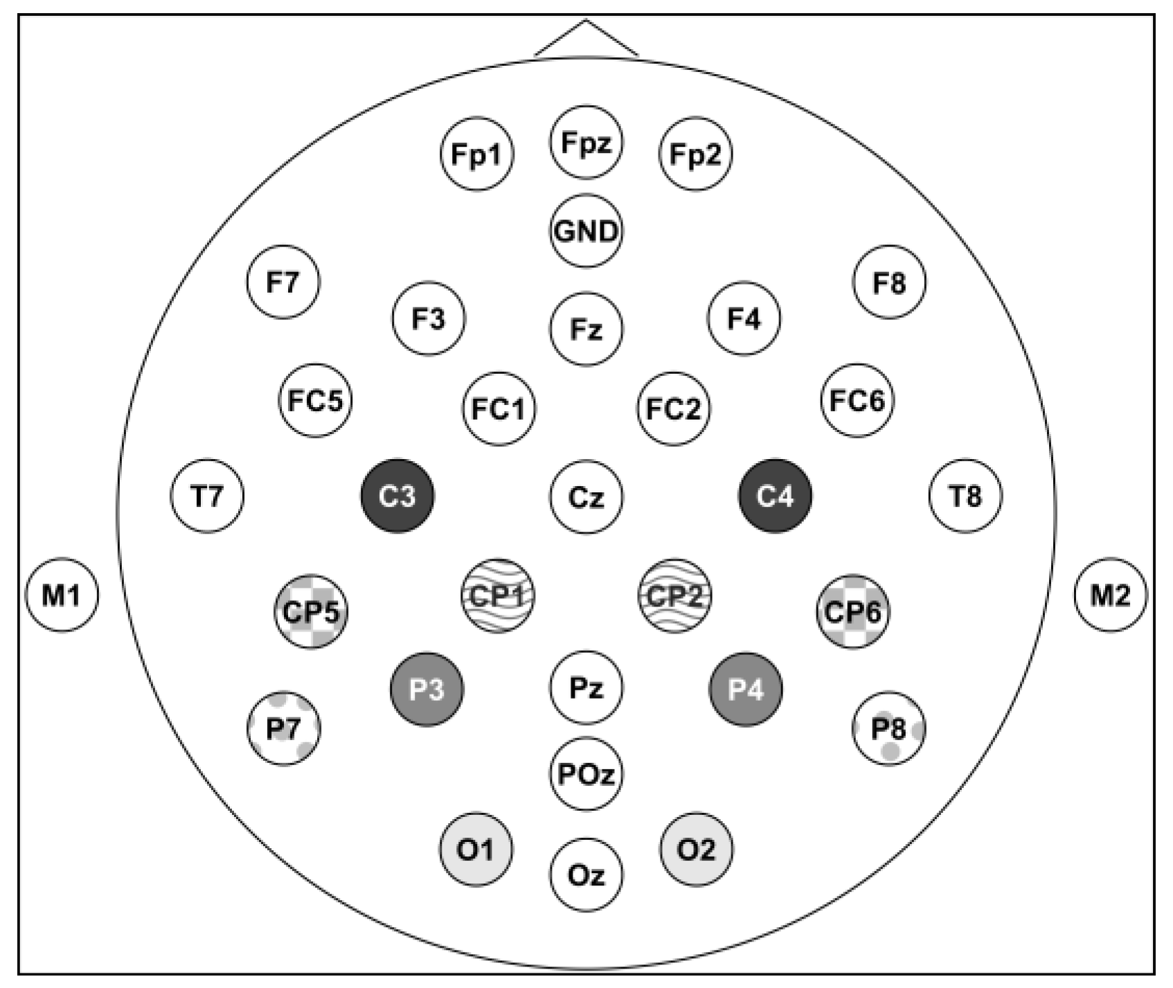Brainsci 13 00975 g002