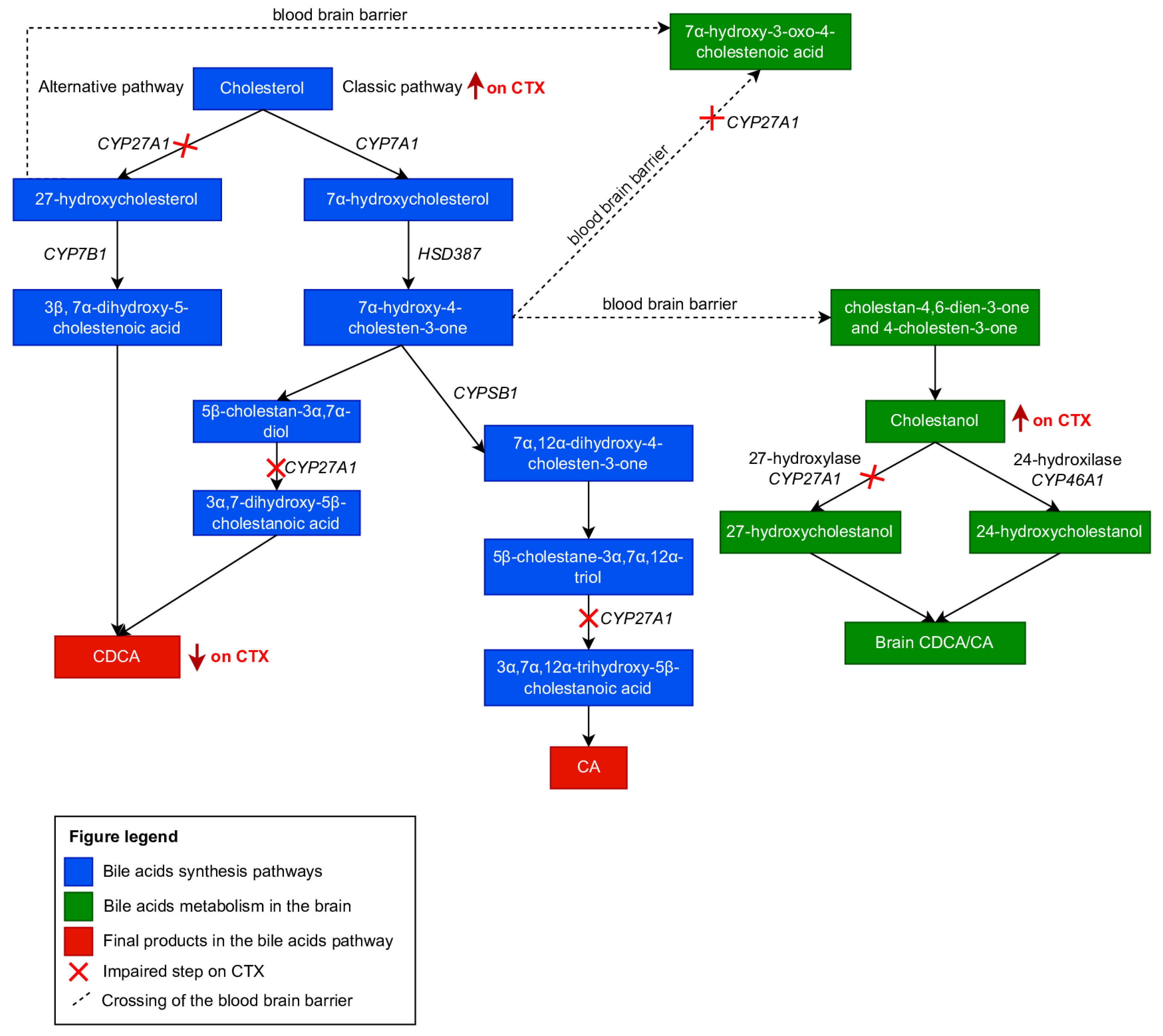 Brainsci 13 00979 g001 Brainsci 13 00979 g001