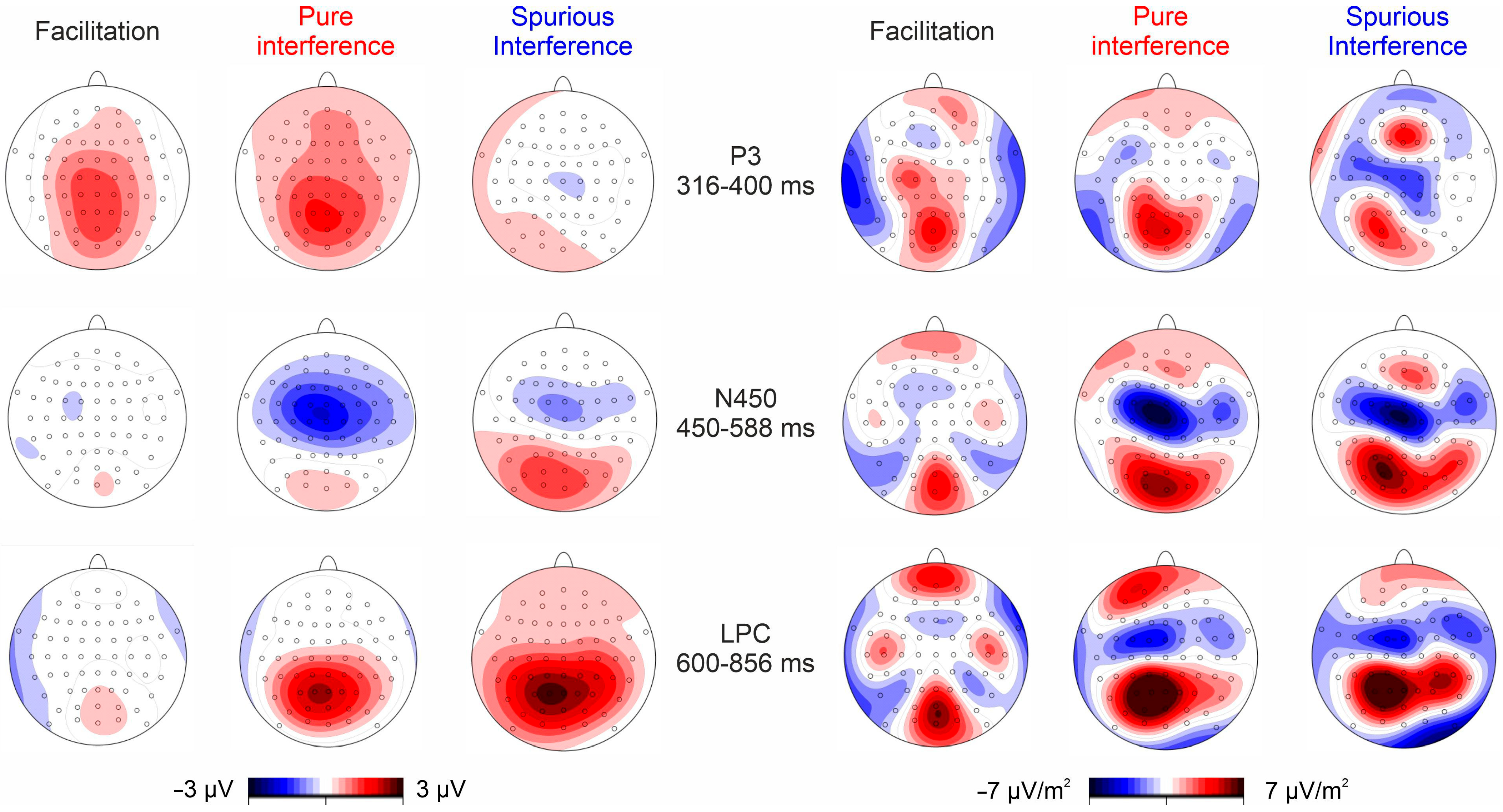 Brainsci 13 00982 g003
