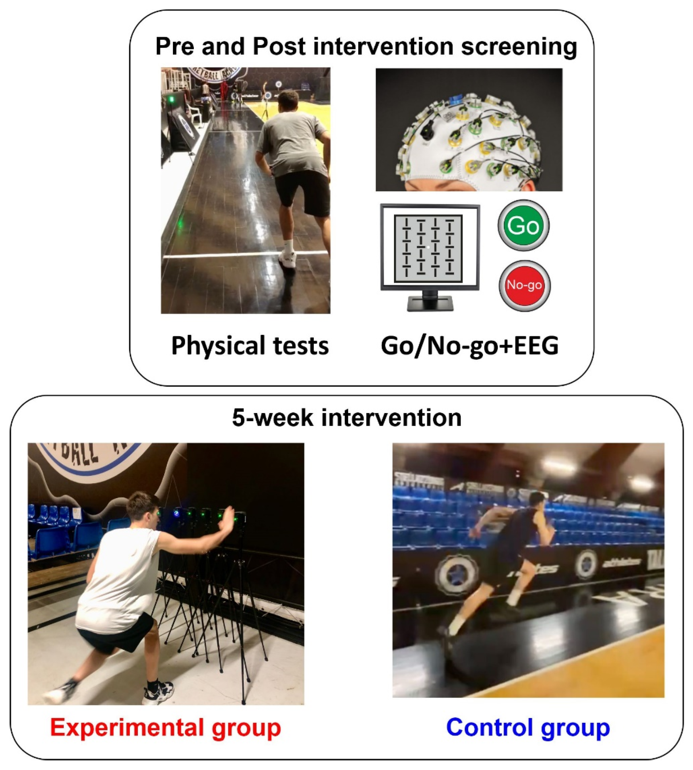 Brainsci 13 00984 g001 Brainsci 13 00984 g001